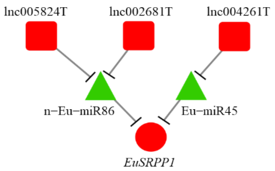 Forests 13 01601 g007 Forests 13 01601 g007