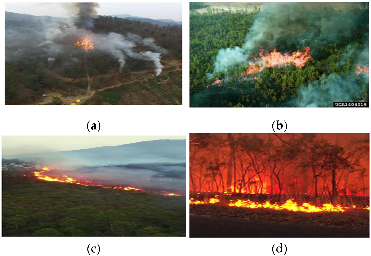 Forests 13 01603 g001 550