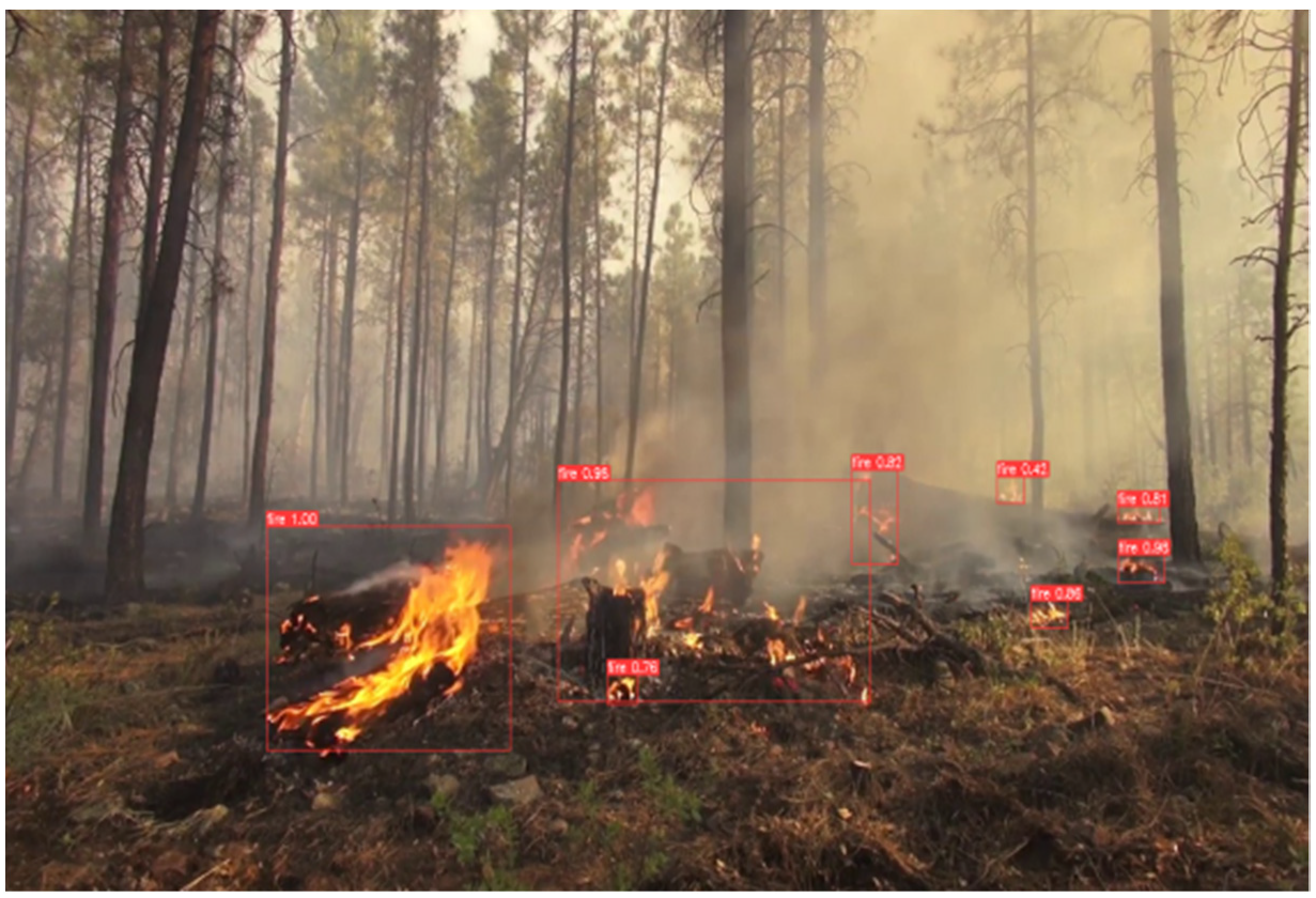 Forests 13 01603 g011 550