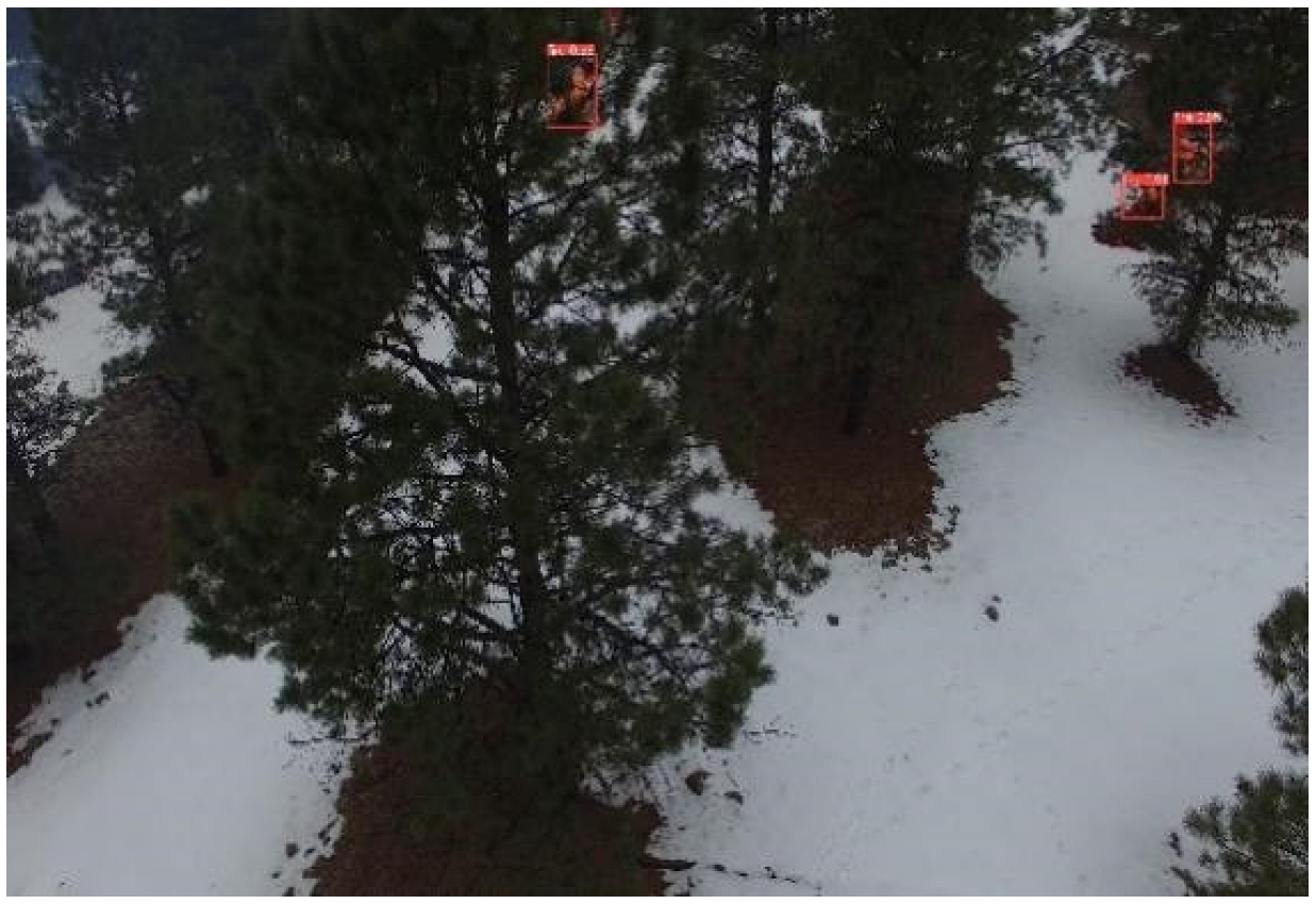 Forests 13 01603 g012 550