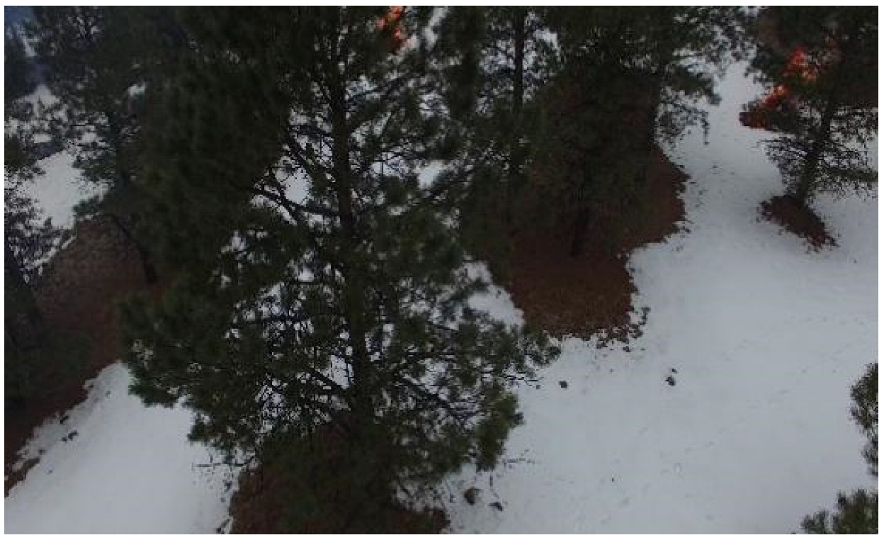 Forests 13 01603 g013 550