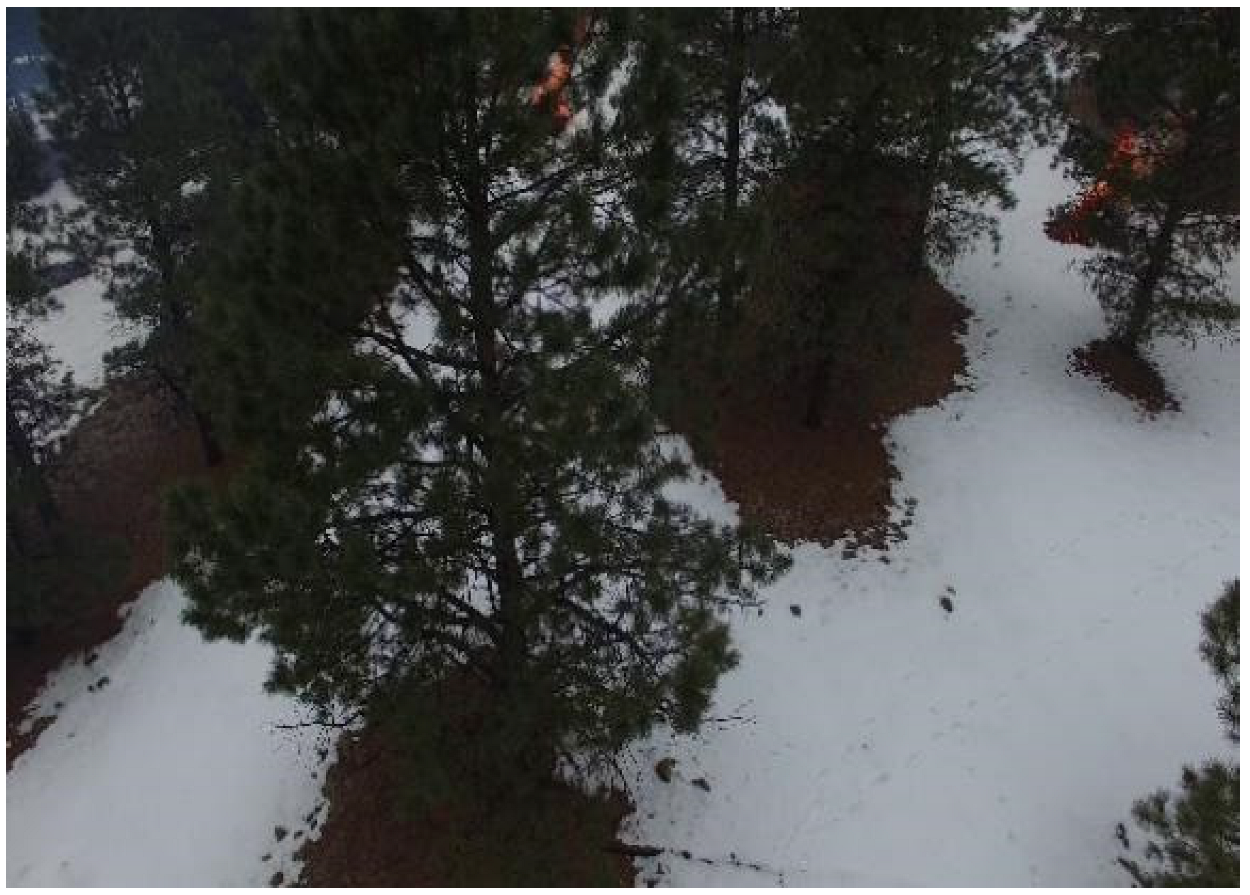 Forests 13 01603 g014 550