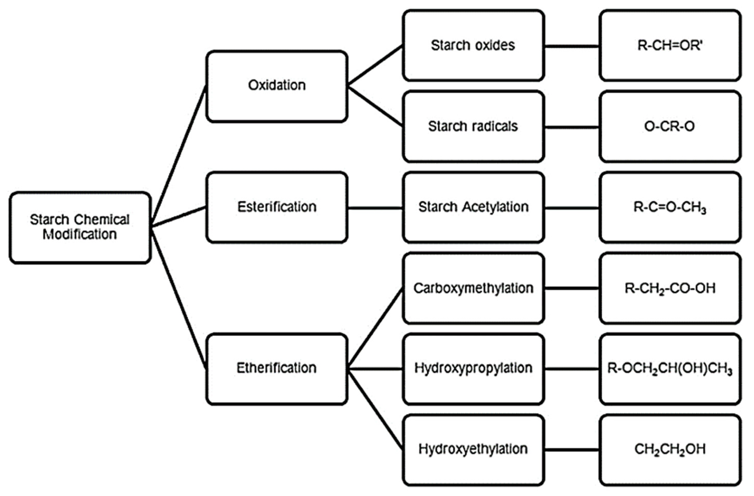 Forests 13 01614 g005 Forests 13 01614 g005