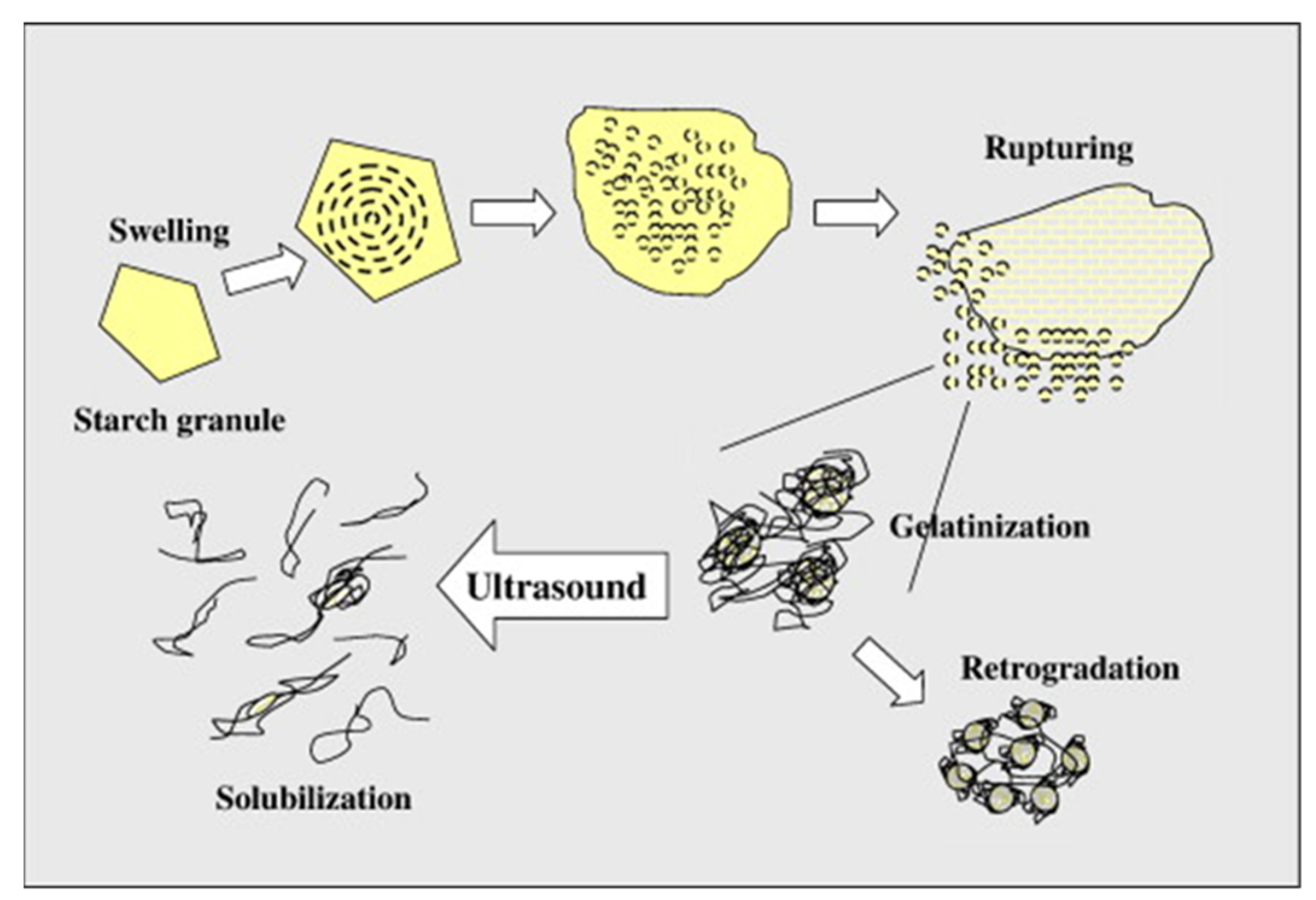 Forests 13 01614 g008 Forests 13 01614 g008