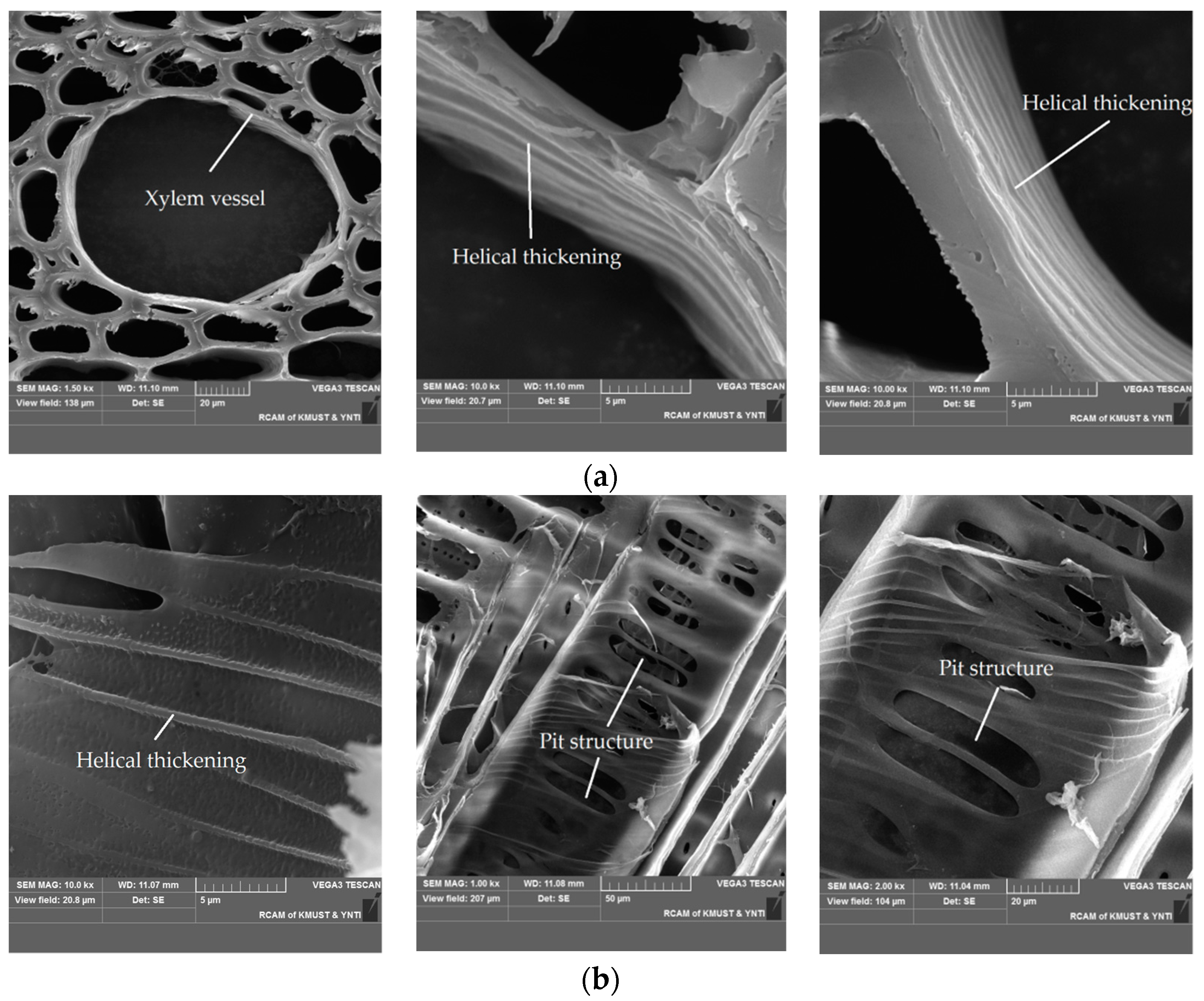 Forests 13 01617 g002 Forests 13 01617 g002