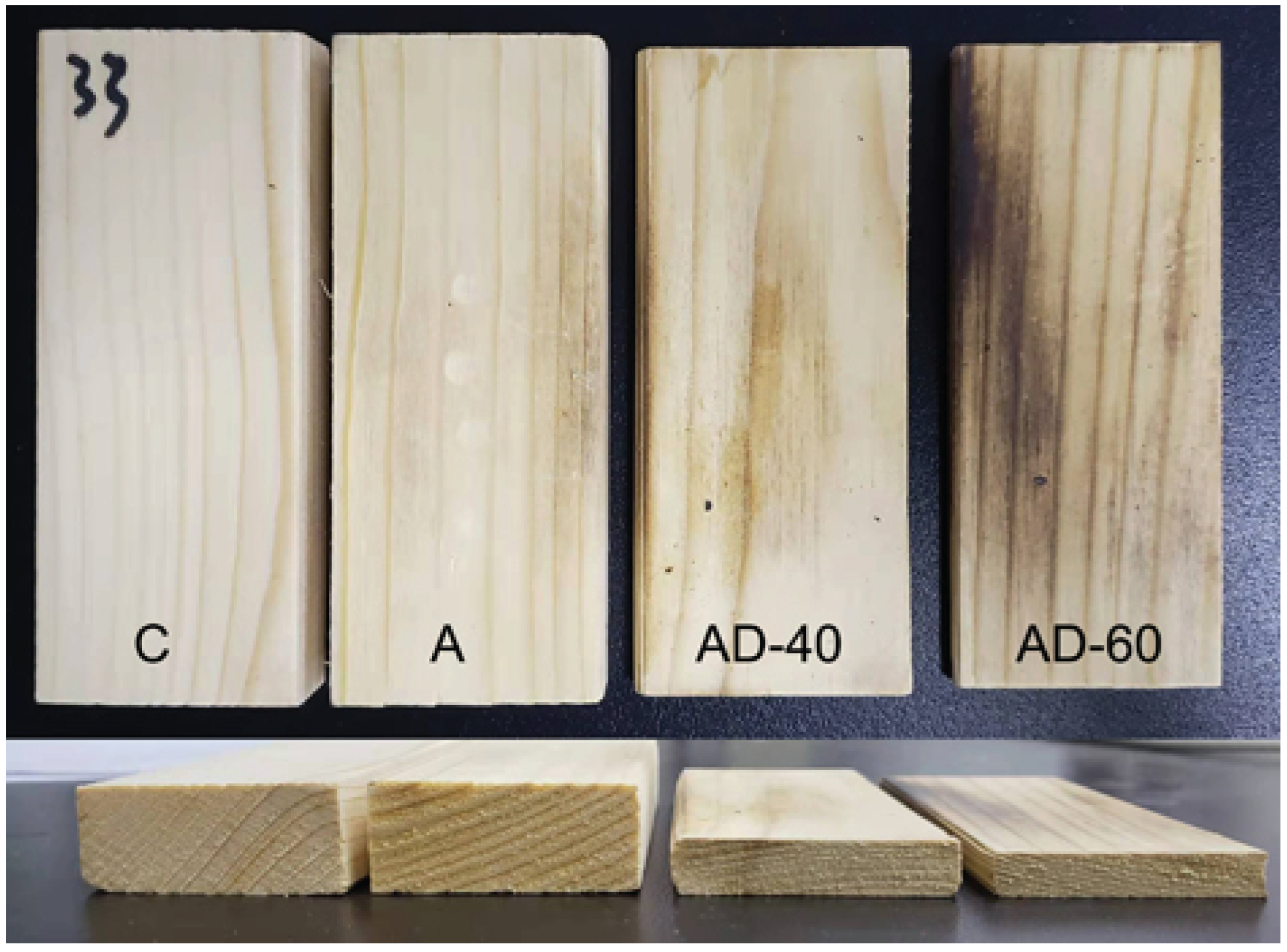 Forests 13 01620 g001 Forests 13 01620 g001