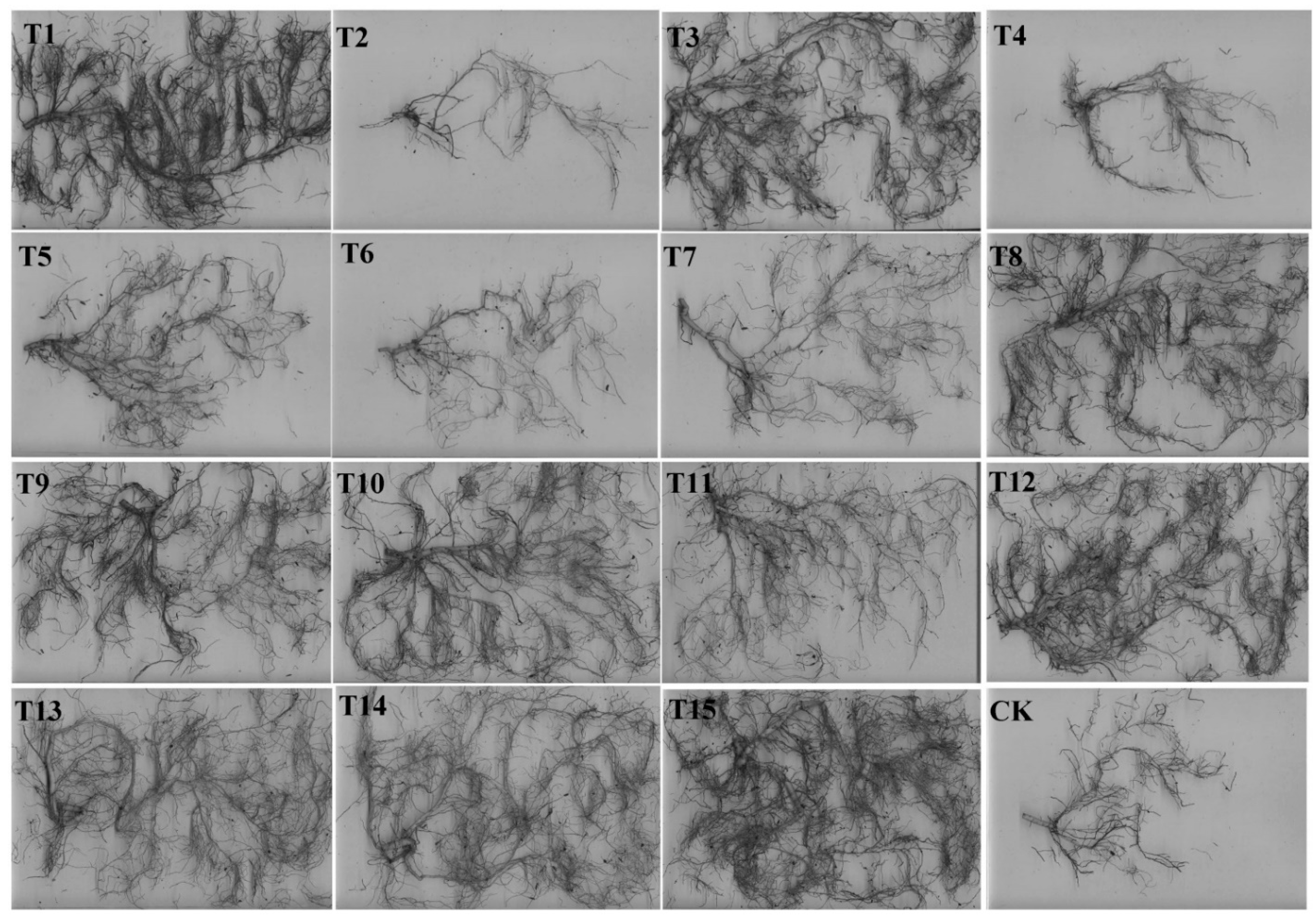 Forests 13 01626 g003 Forests 13 01626 g003