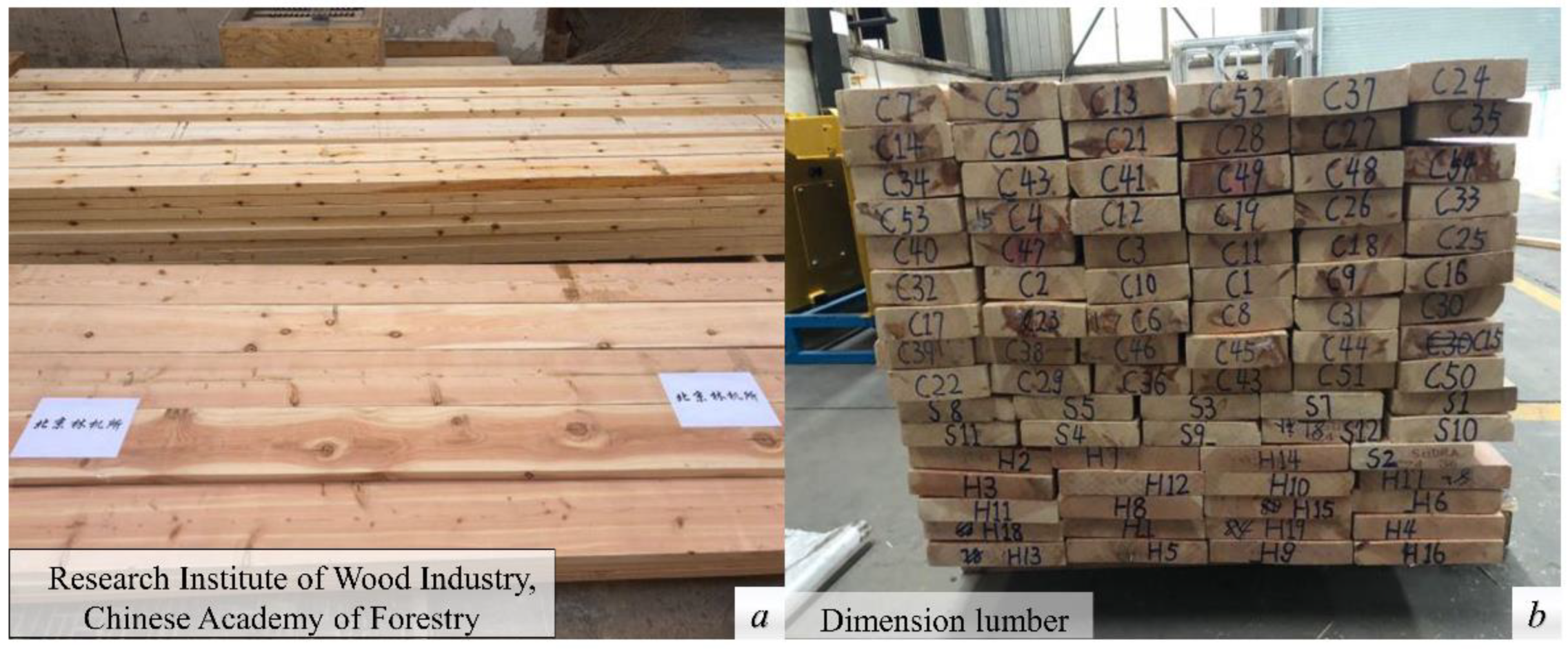 Forests Free FullText Online Measurement of Outline Size for Pinus