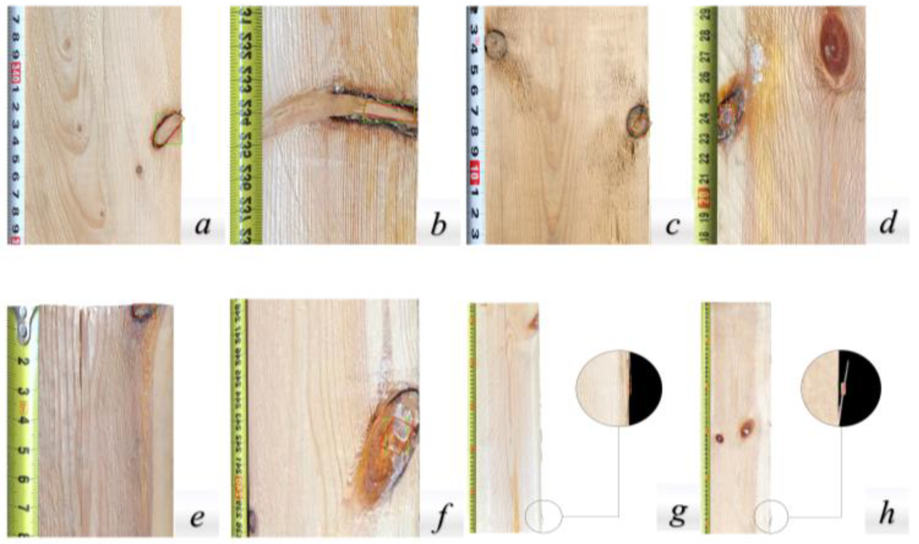 Forests 13 01627 g008