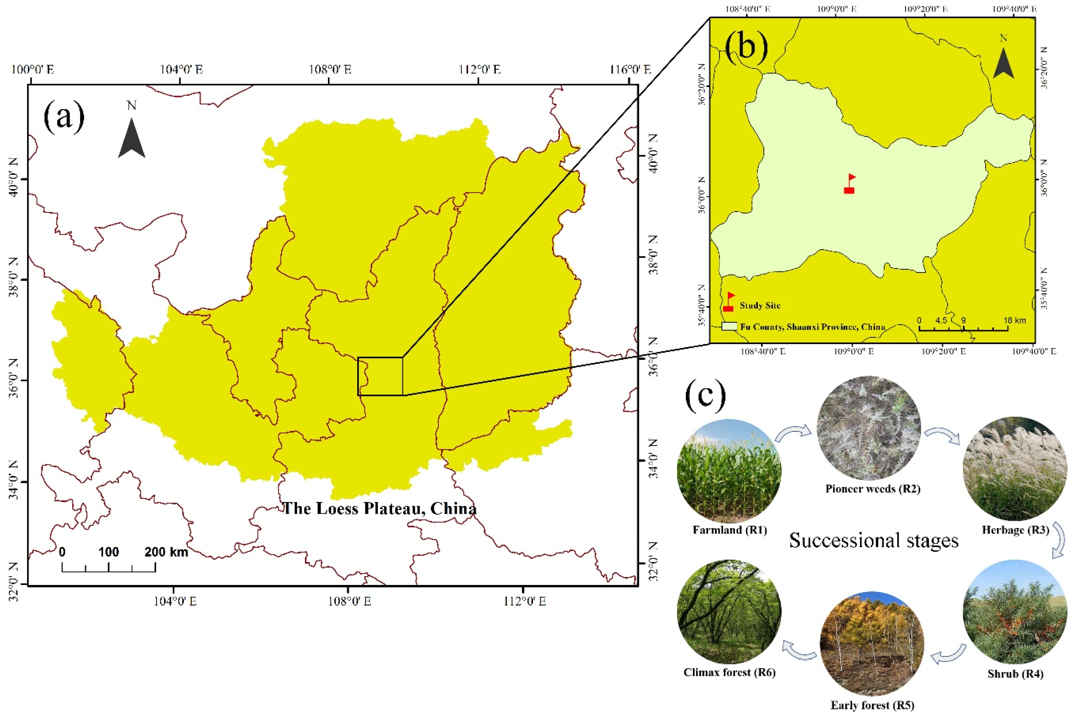 Forests 13 01628 g001