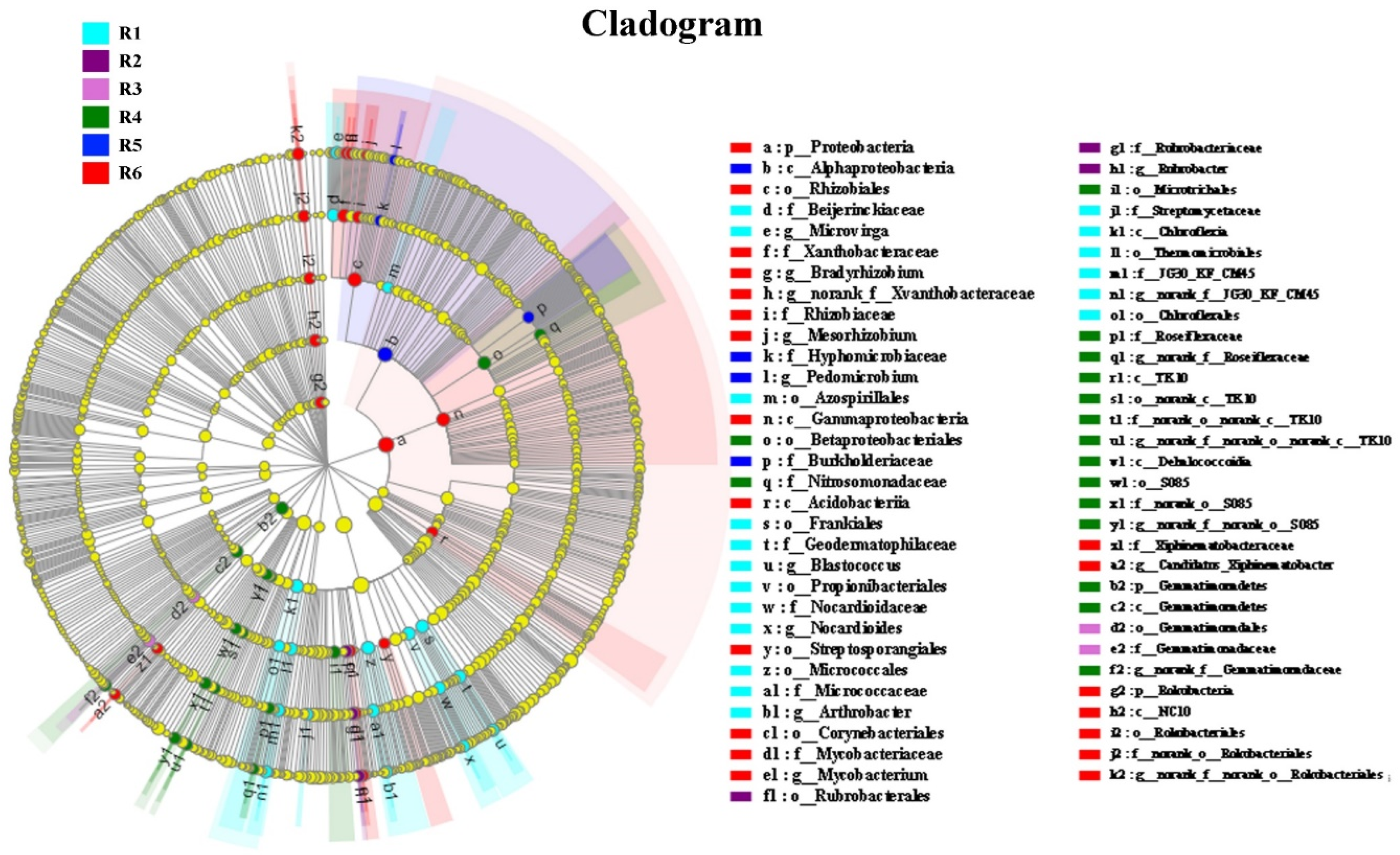Forests 13 01628 g004