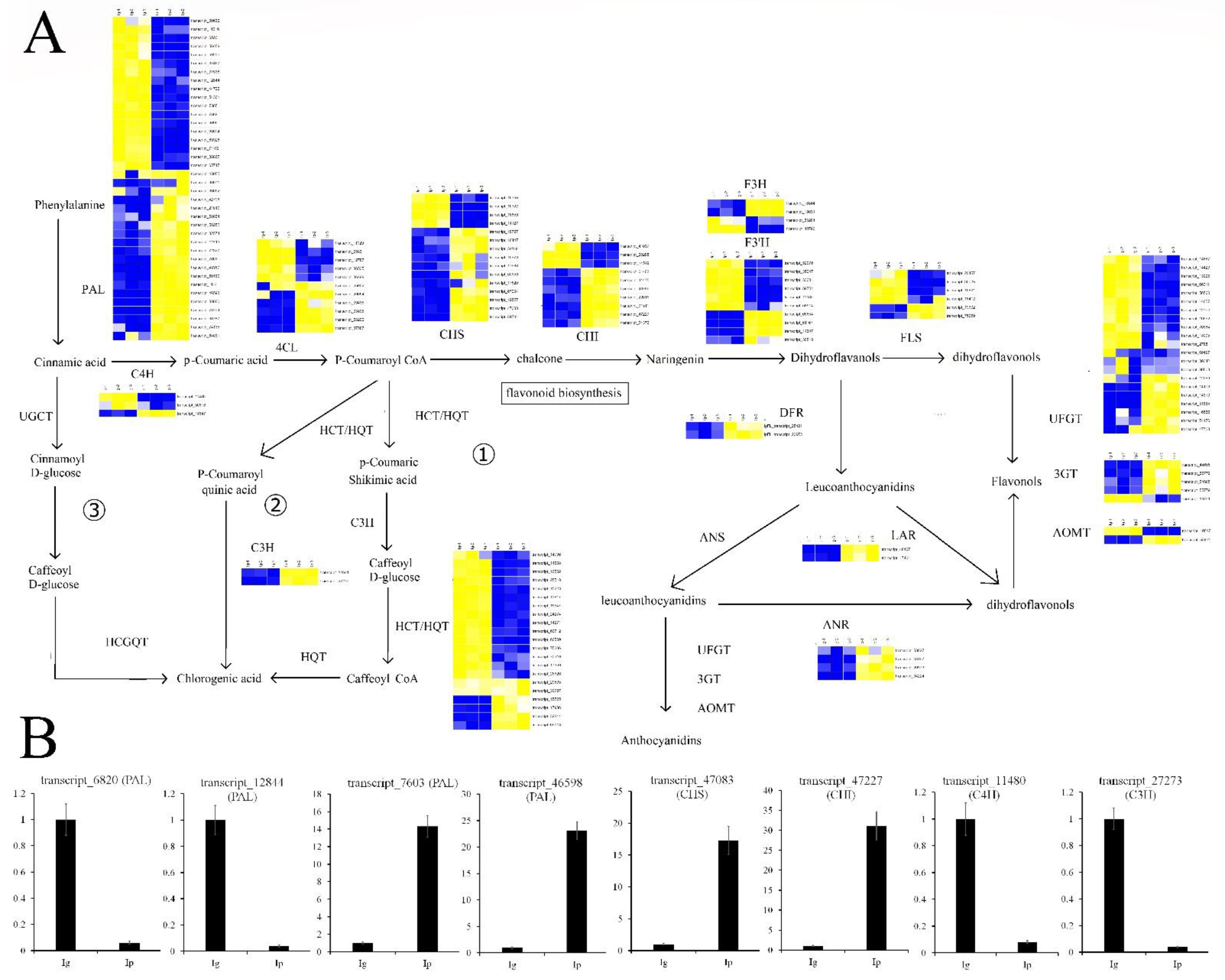 Forests 13 01632 g005 Forests 13 01632 g005