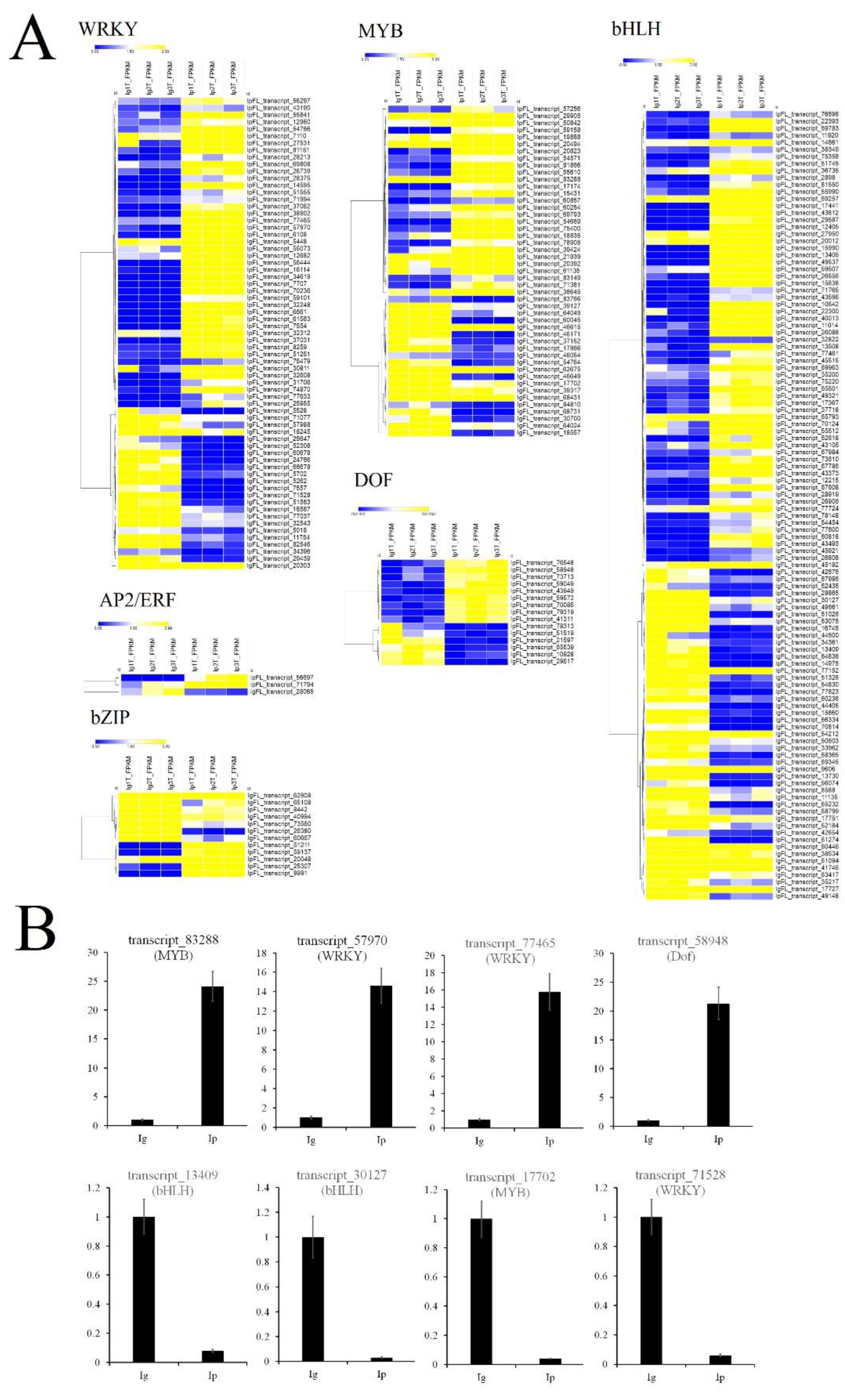Forests 13 01632 g006 Forests 13 01632 g006