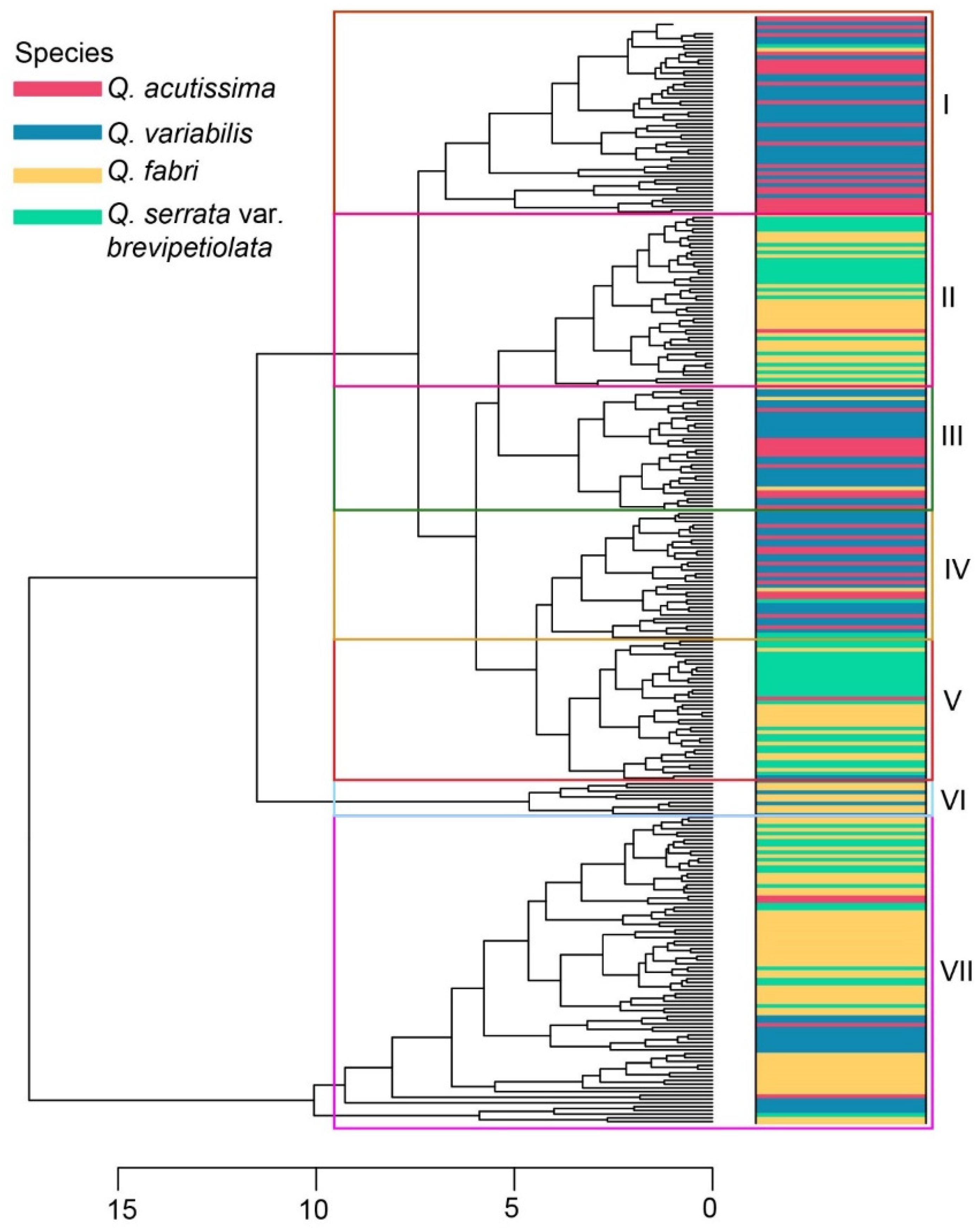 Forests 13 01635 g008 Forests 13 01635 g008