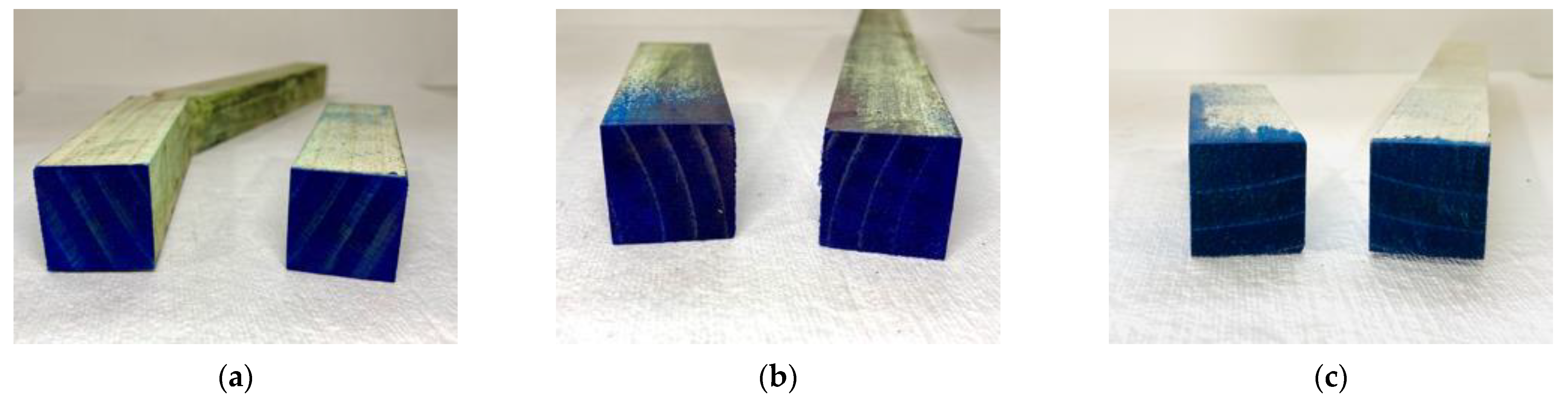 Forests 13 01636 g002