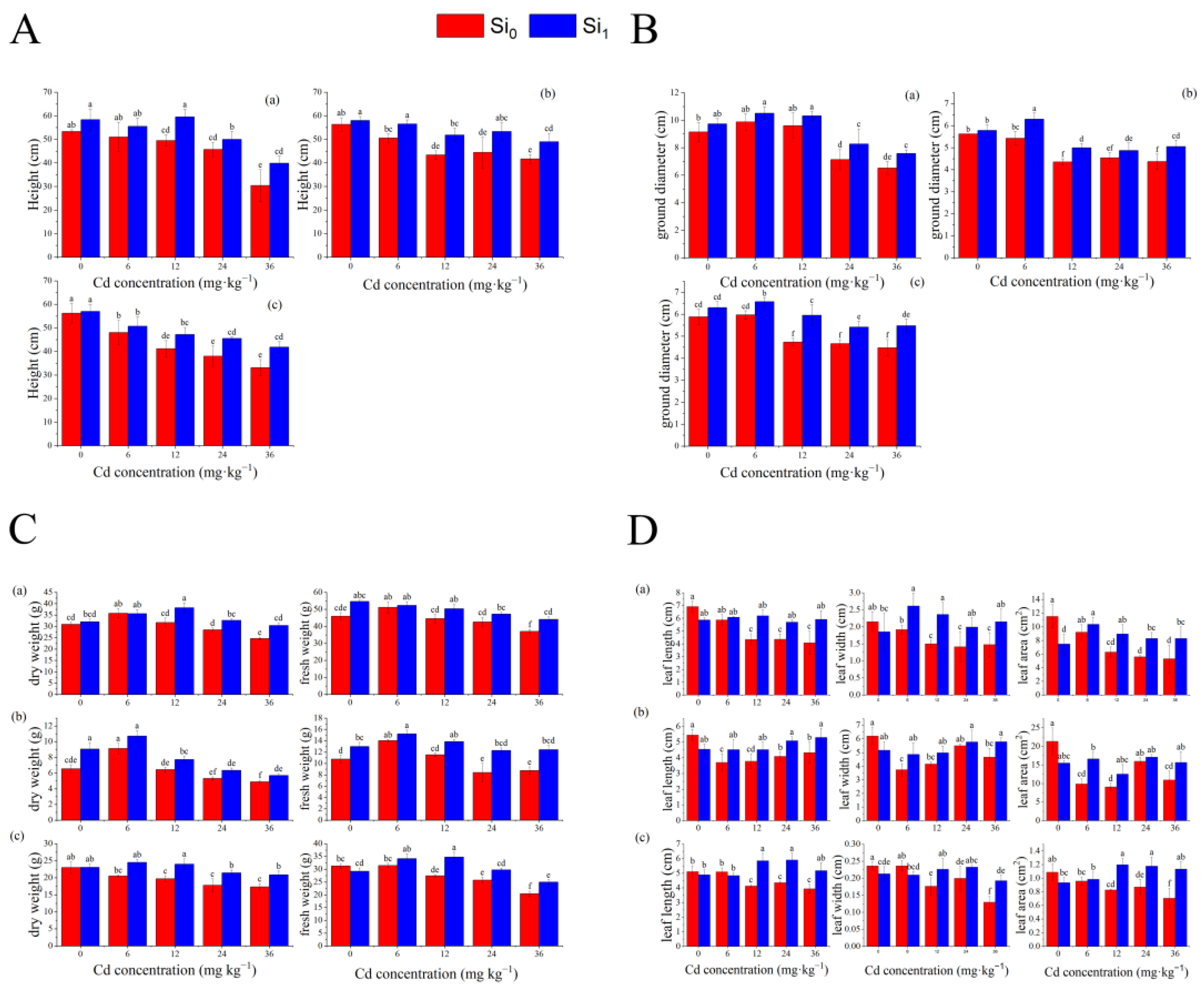 Forests 13 01641 g001 Forests 13 01641 g001