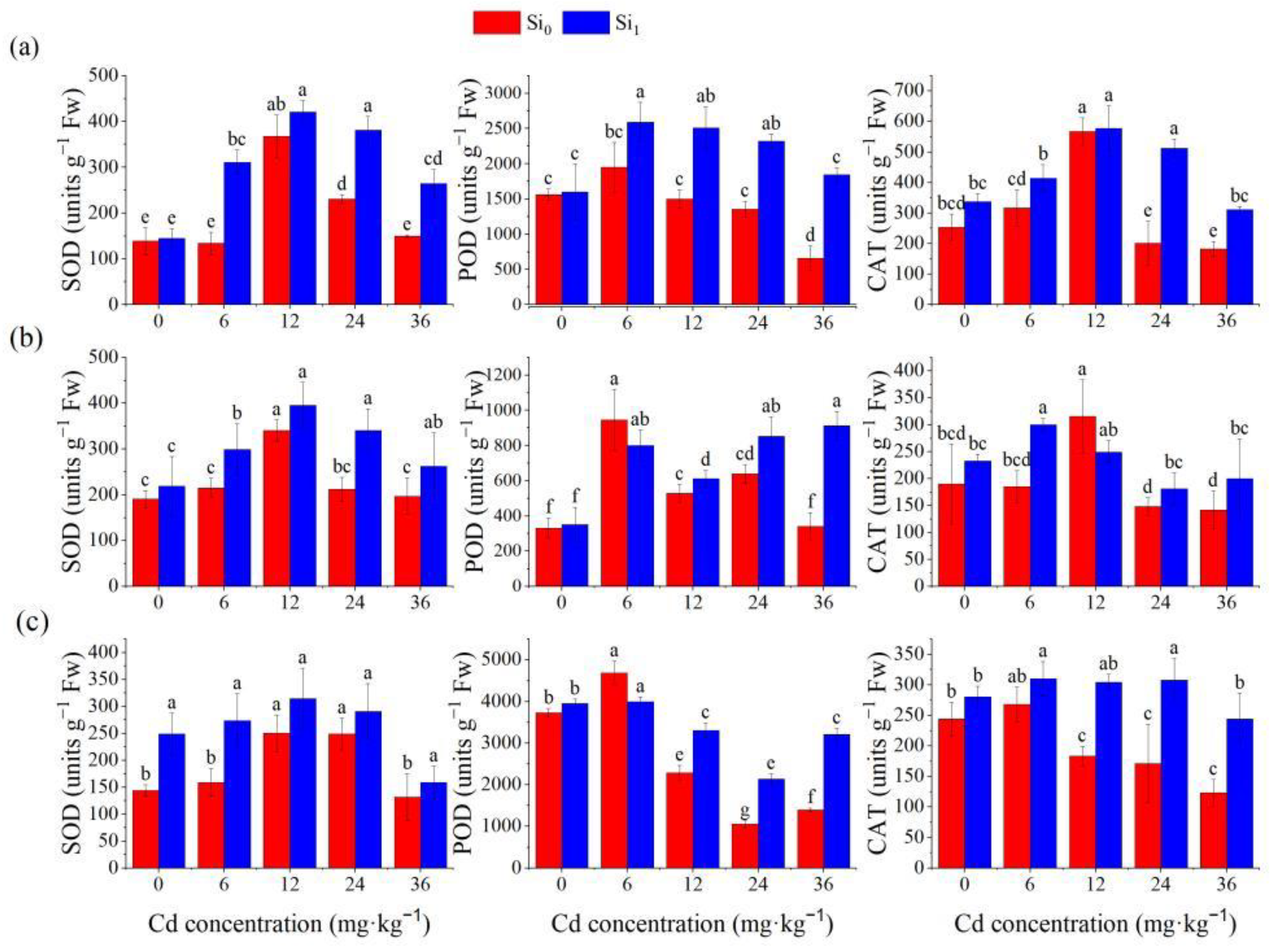 Forests 13 01641 g002 Forests 13 01641 g002