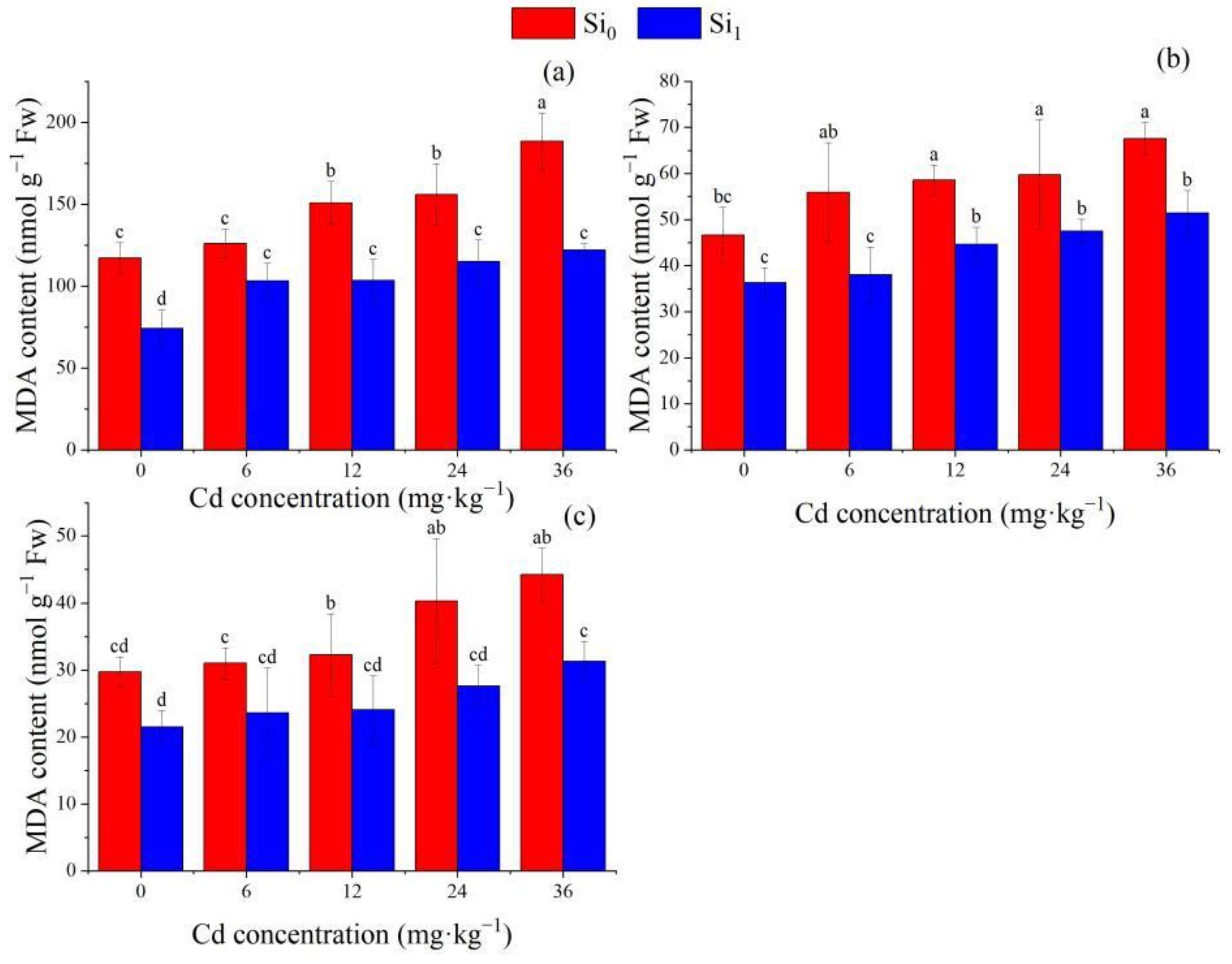 Forests 13 01641 g003 Forests 13 01641 g003