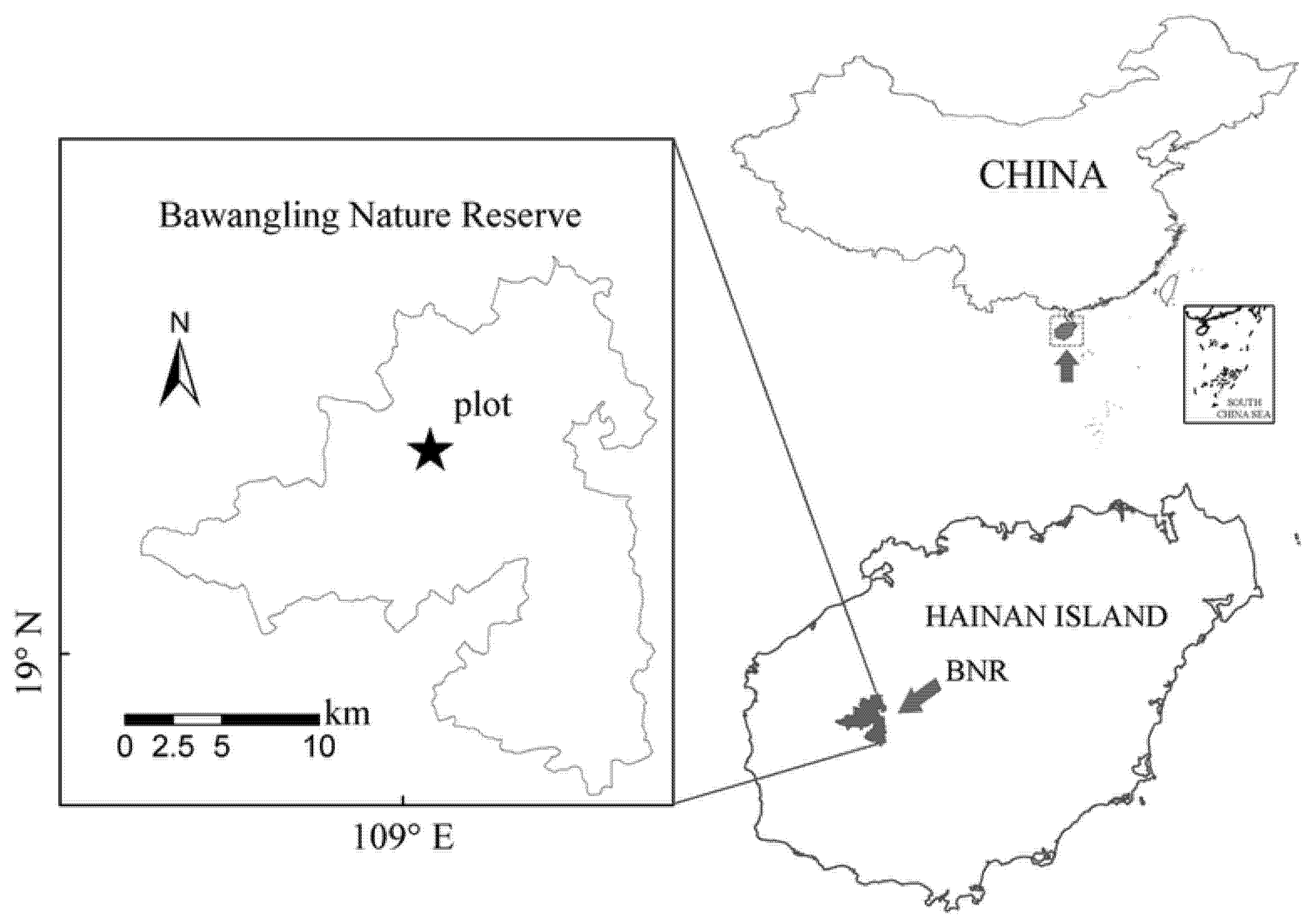 Forests 13 01653 g001