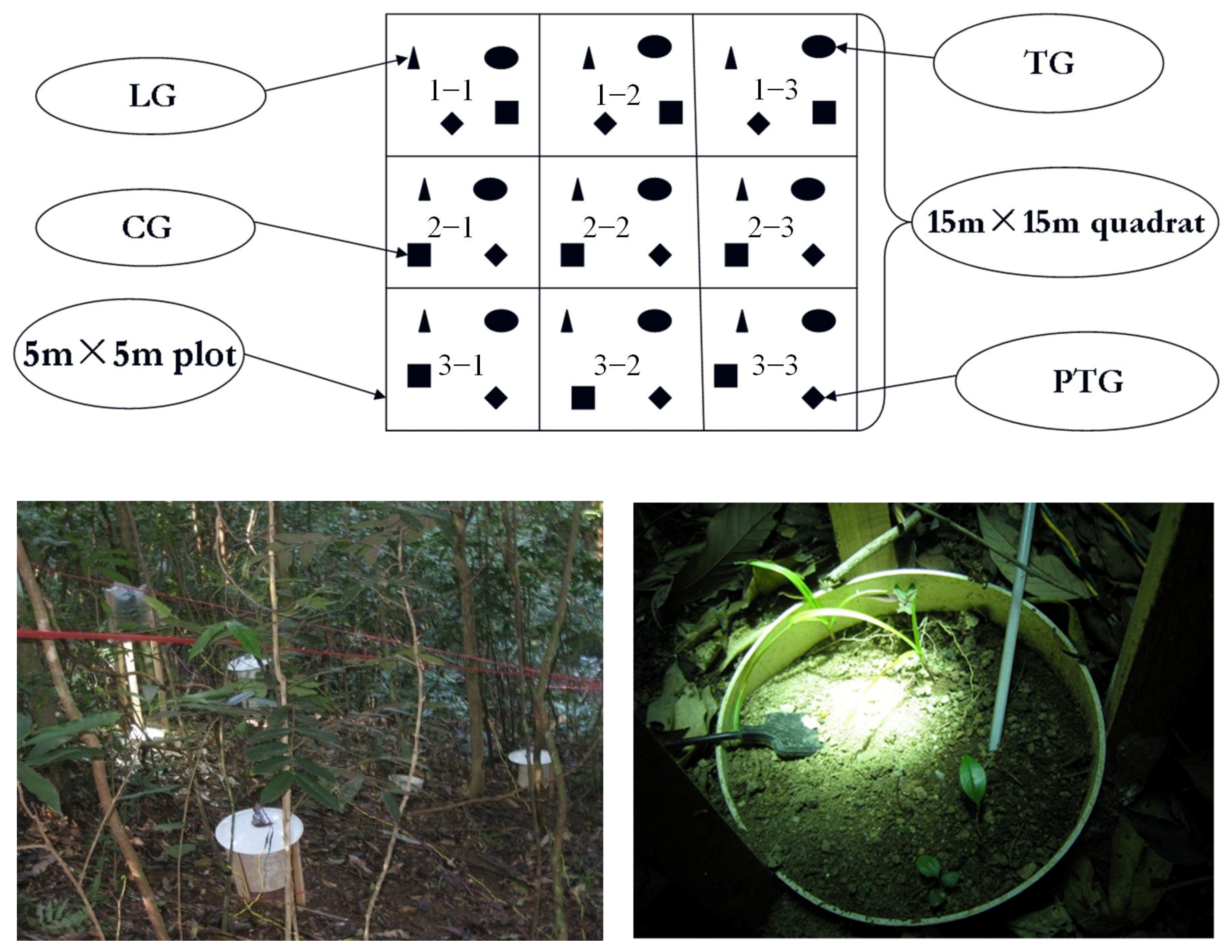 Forests 13 01653 g002