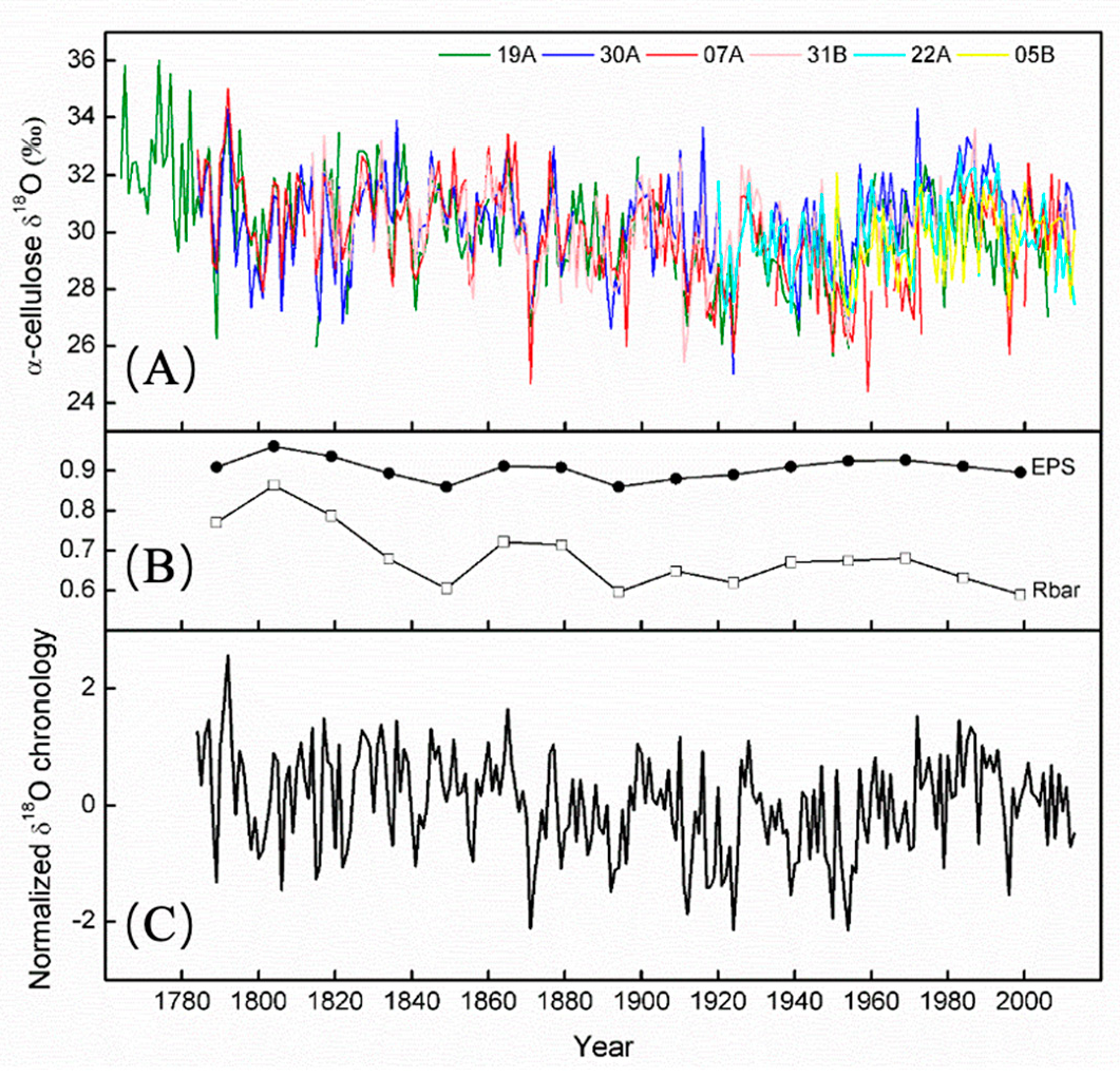 Forests 13 01654 g003