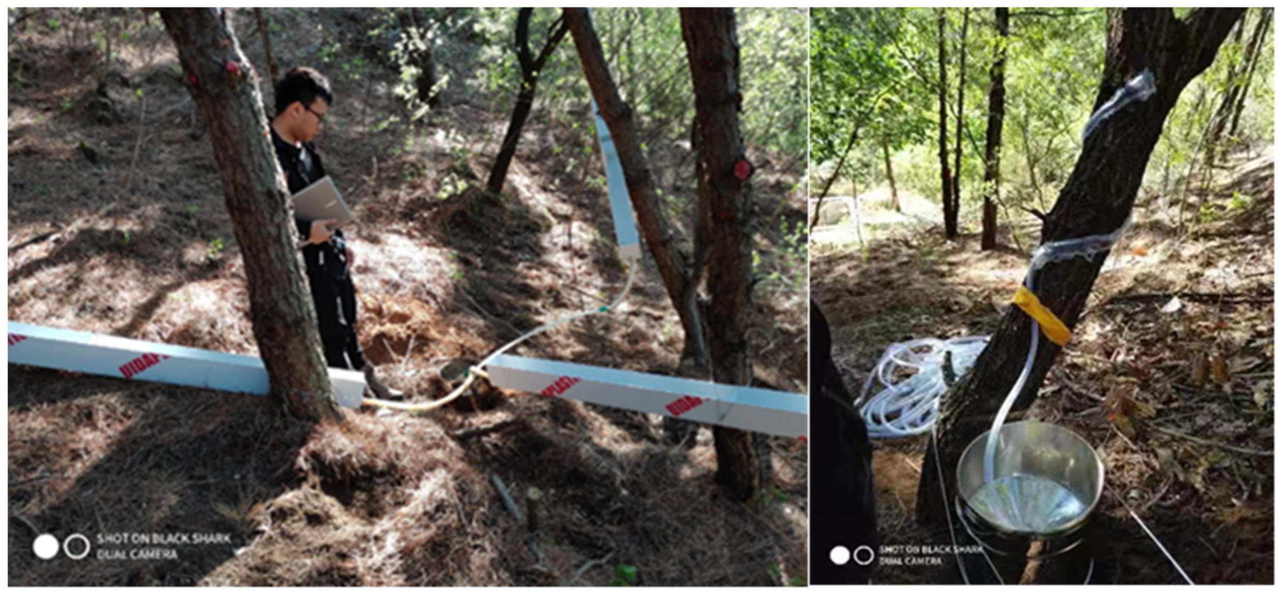 Forests 13 01666 g002 Forests 13 01666 g002