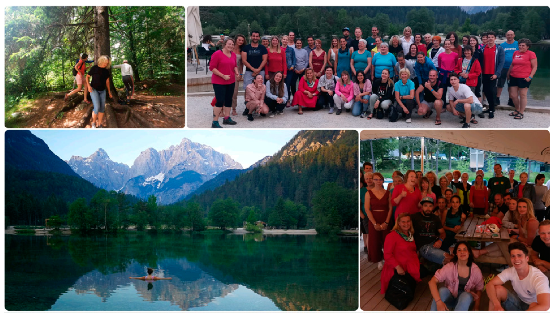 Forests 13 01670 g003 Forests 13 01670 g003