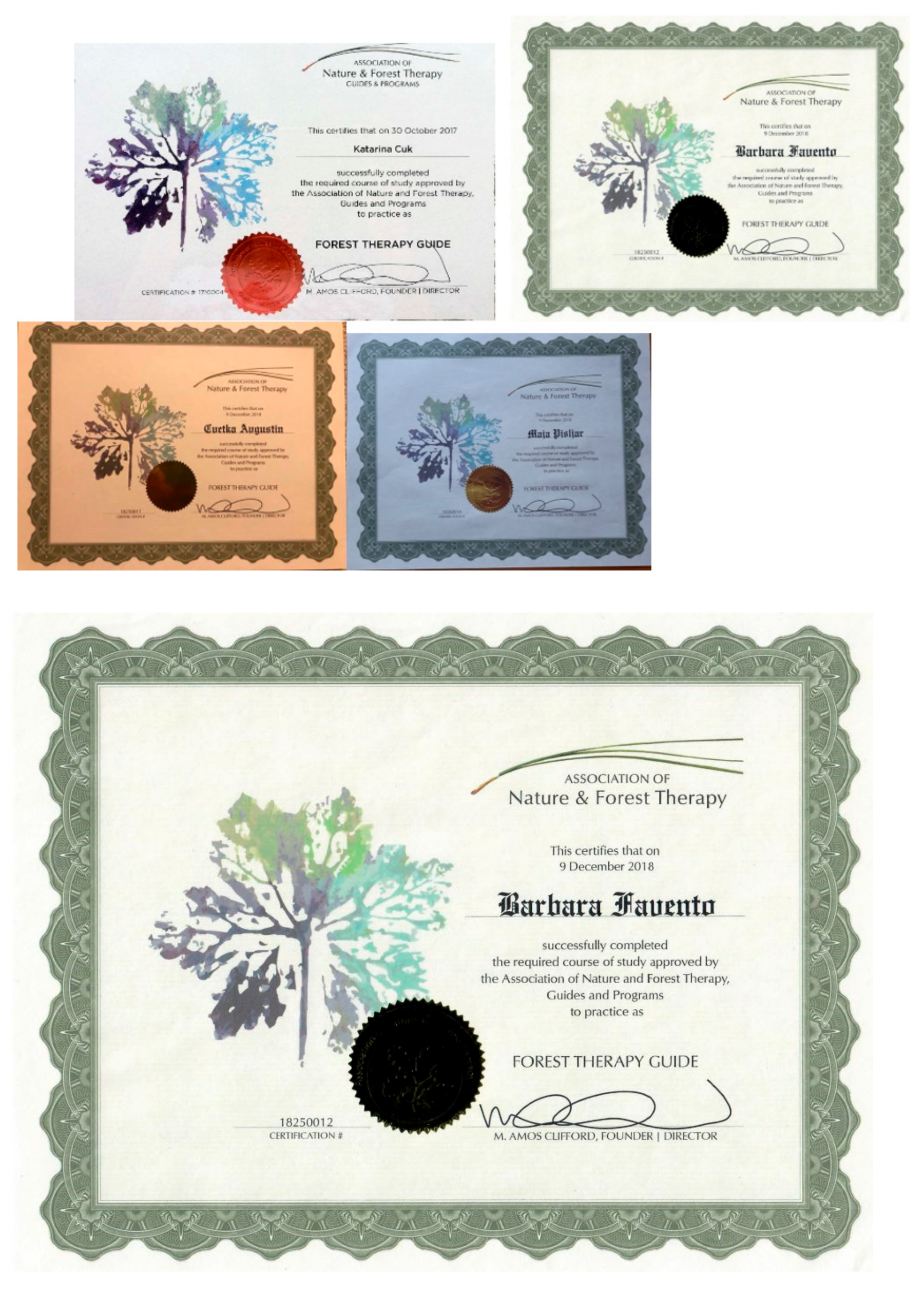 Forests 13 01670 g0a1a Forests 13 01670 g0a1a