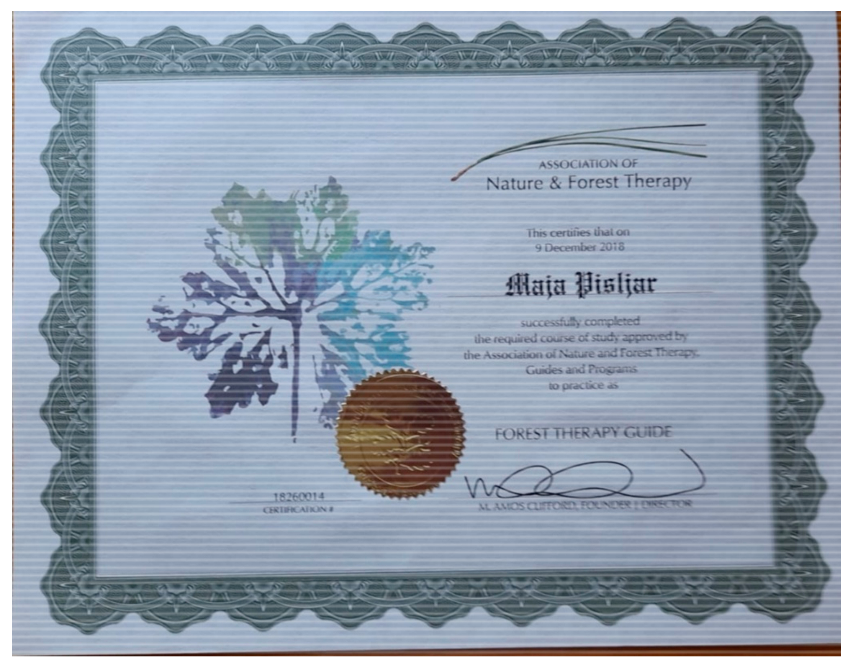 Forests 13 01670 g0a1c Forests 13 01670 g0a1c