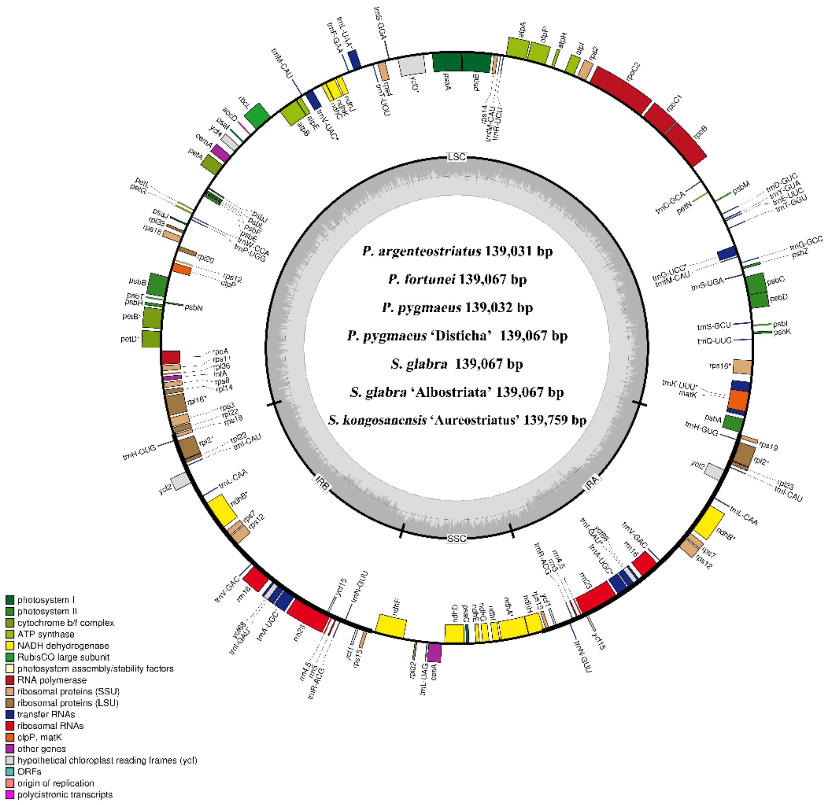 Forests 13 01671 g002