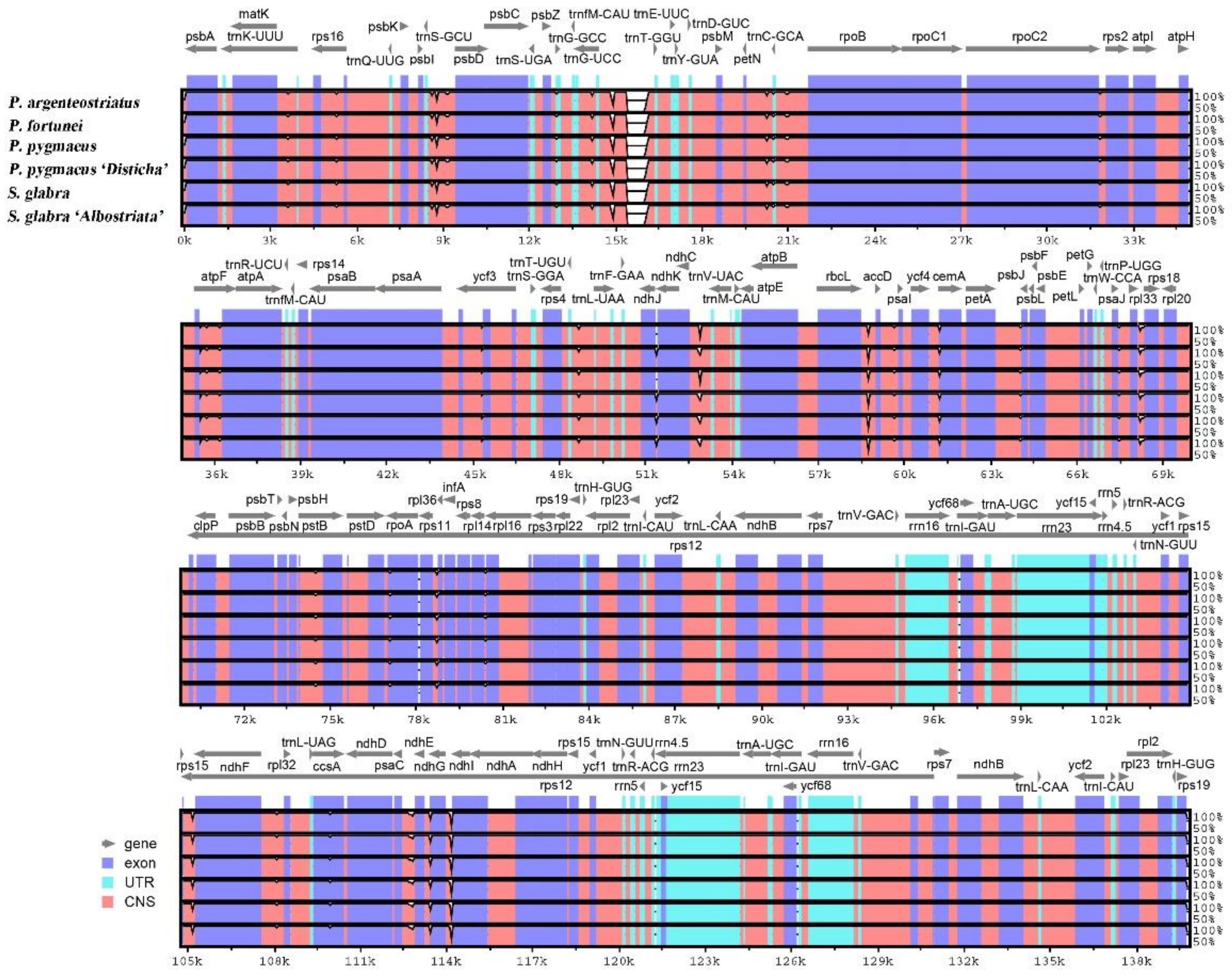 Forests 13 01671 g004