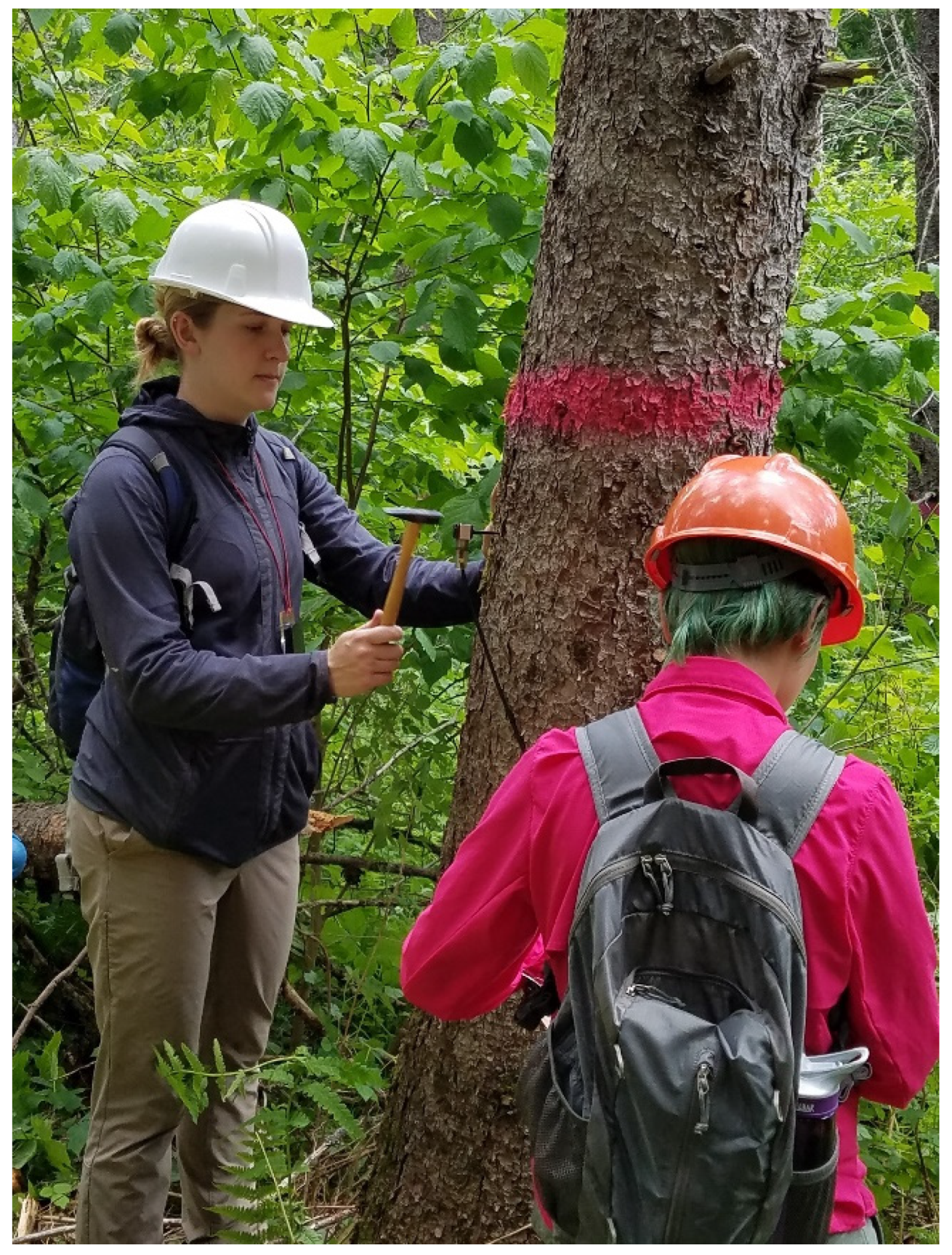 Forests 13 01680 g003 Forests 13 01680 g003