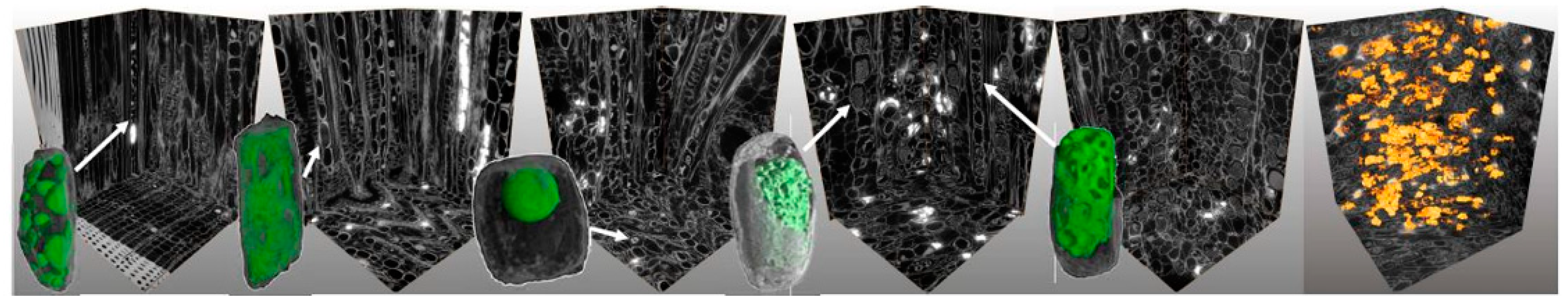 Forests 13 01681 g005 Forests 13 01681 g005