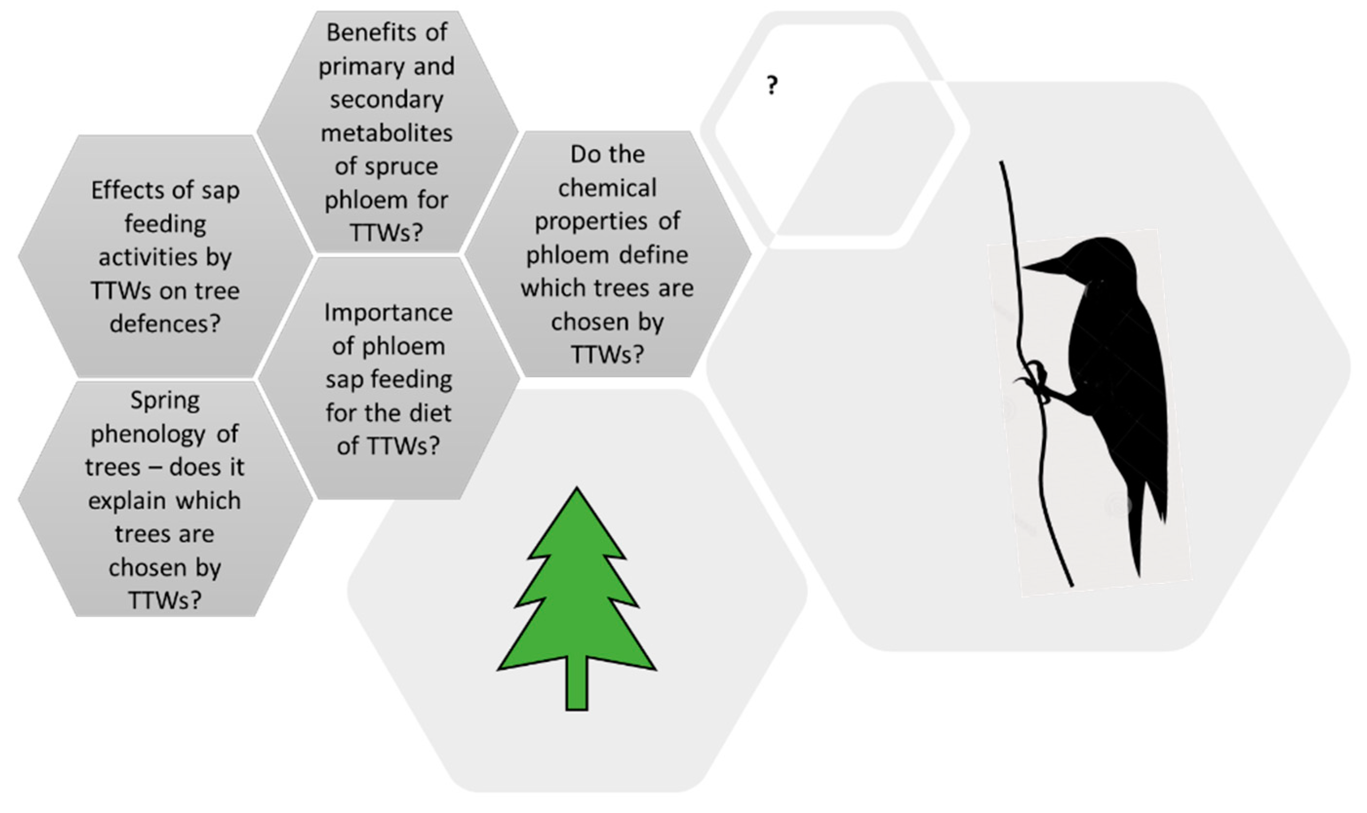 Forests 13 01681 g011 Forests 13 01681 g011