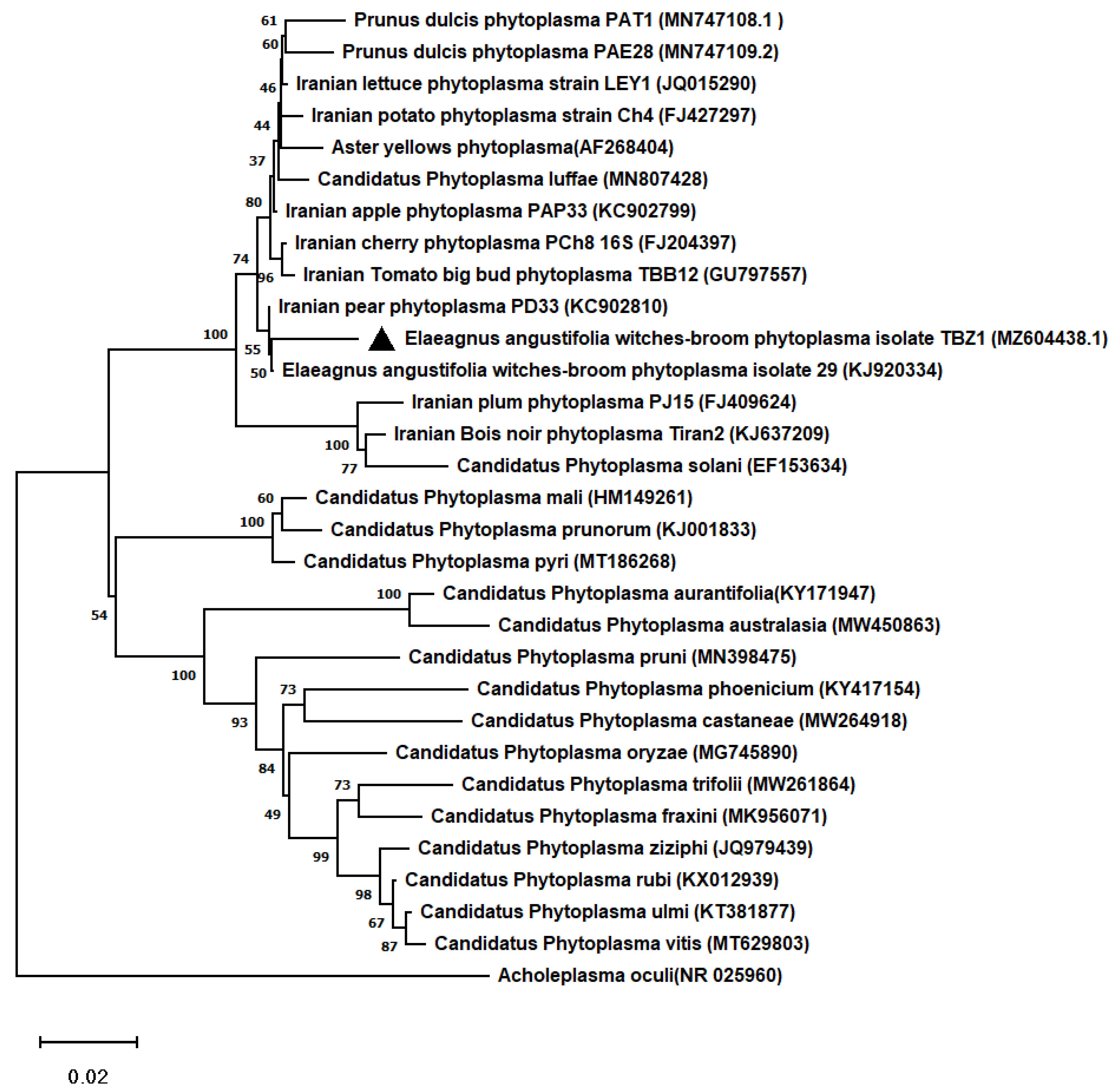 Forests 13 01684 g002 Forests 13 01684 g002