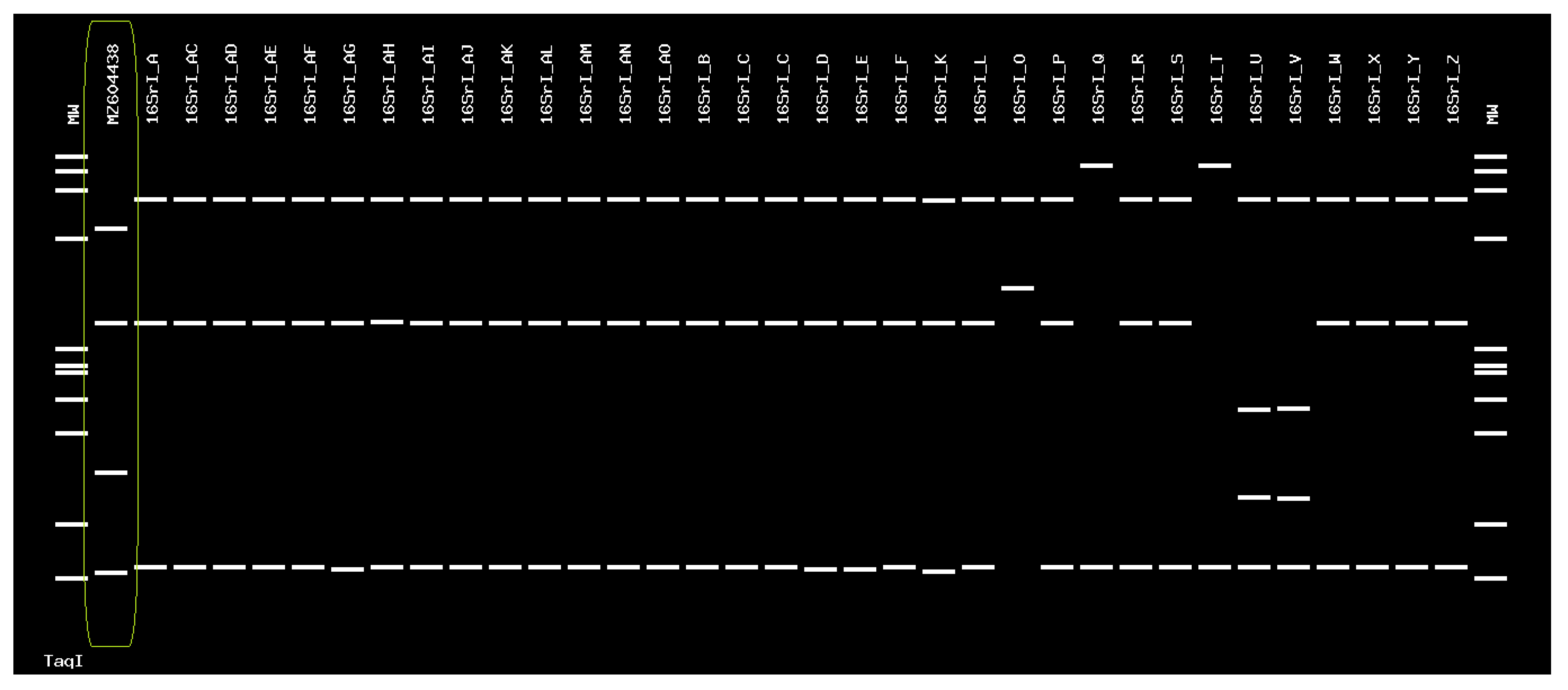 Forests 13 01684 g003 Forests 13 01684 g003