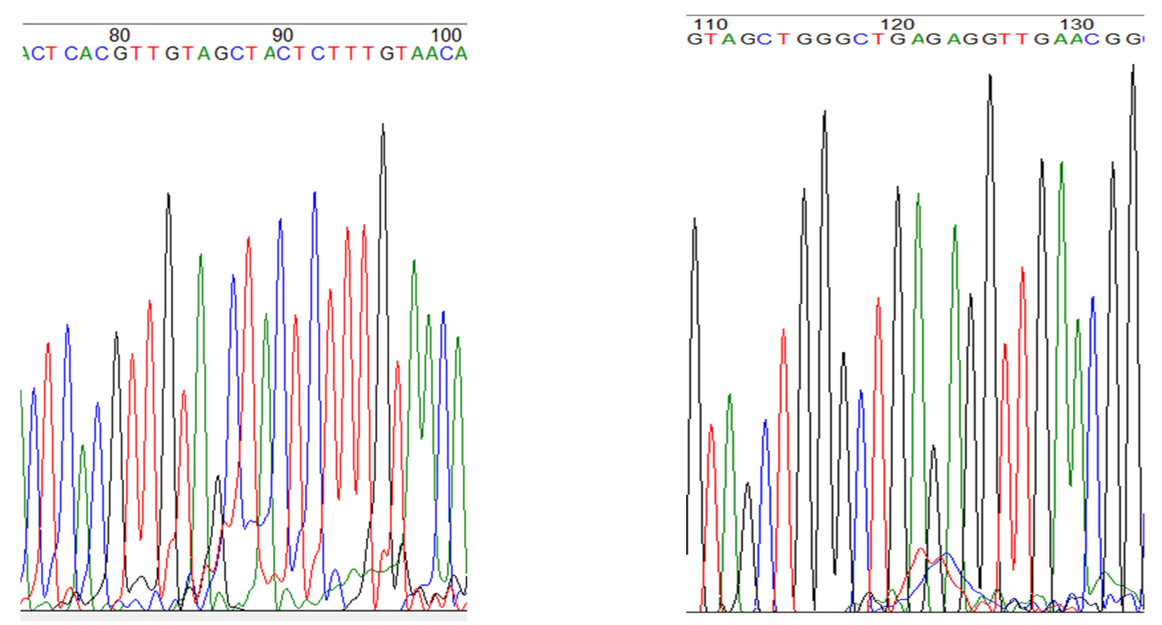 Forests 13 01684 g004 Forests 13 01684 g004