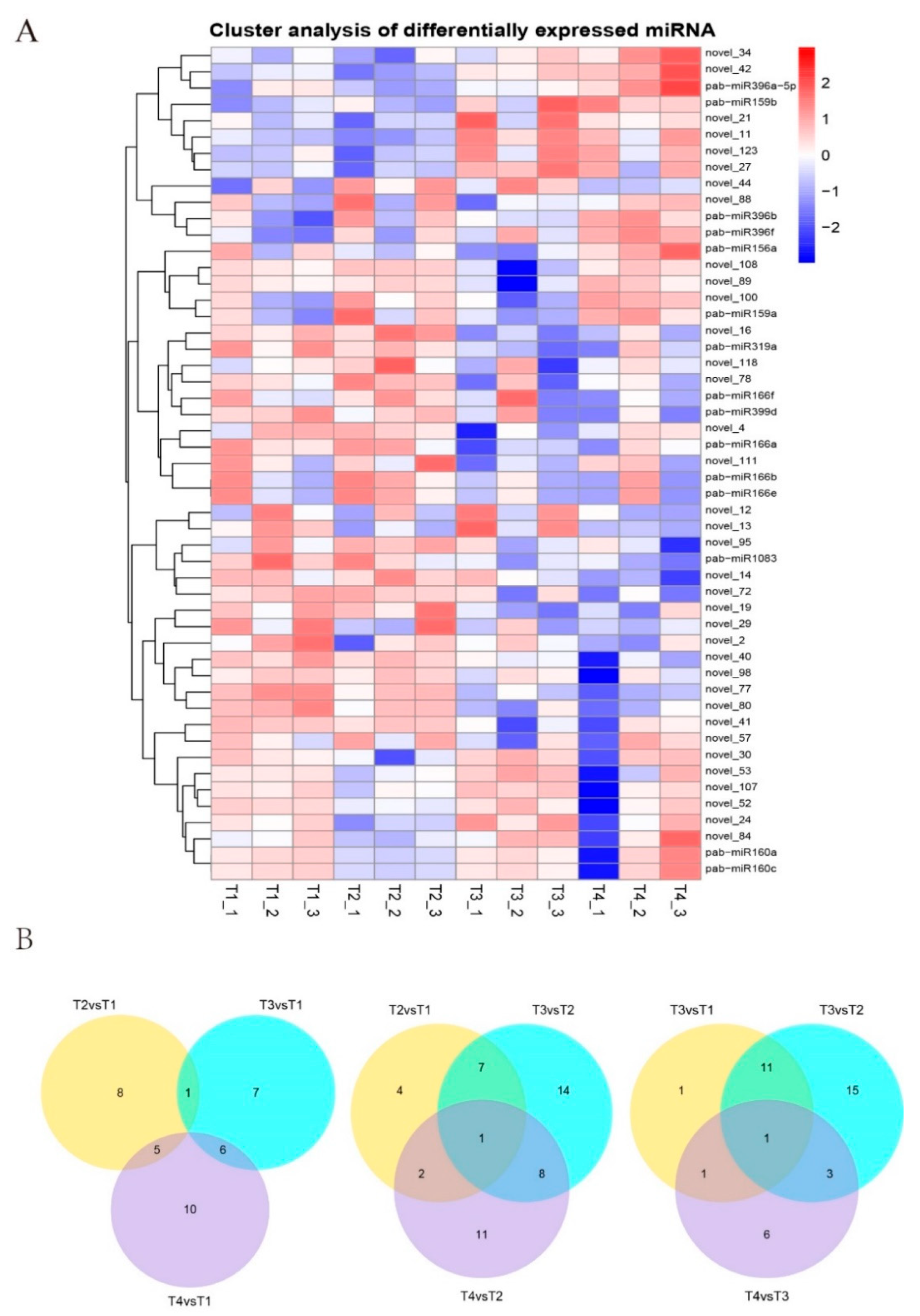 Forests 13 01685 g001 Forests 13 01685 g001