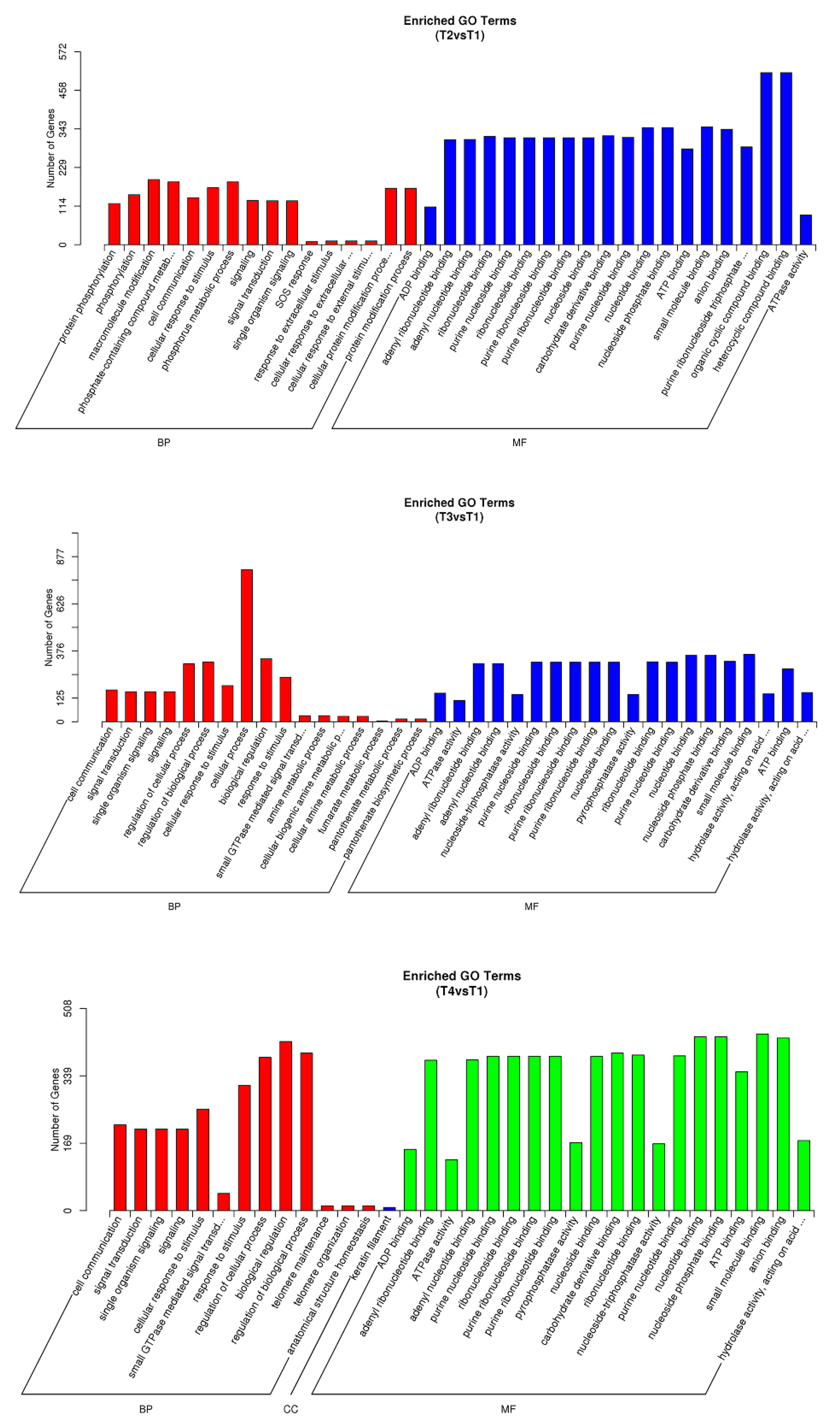 Forests 13 01685 g002 Forests 13 01685 g002