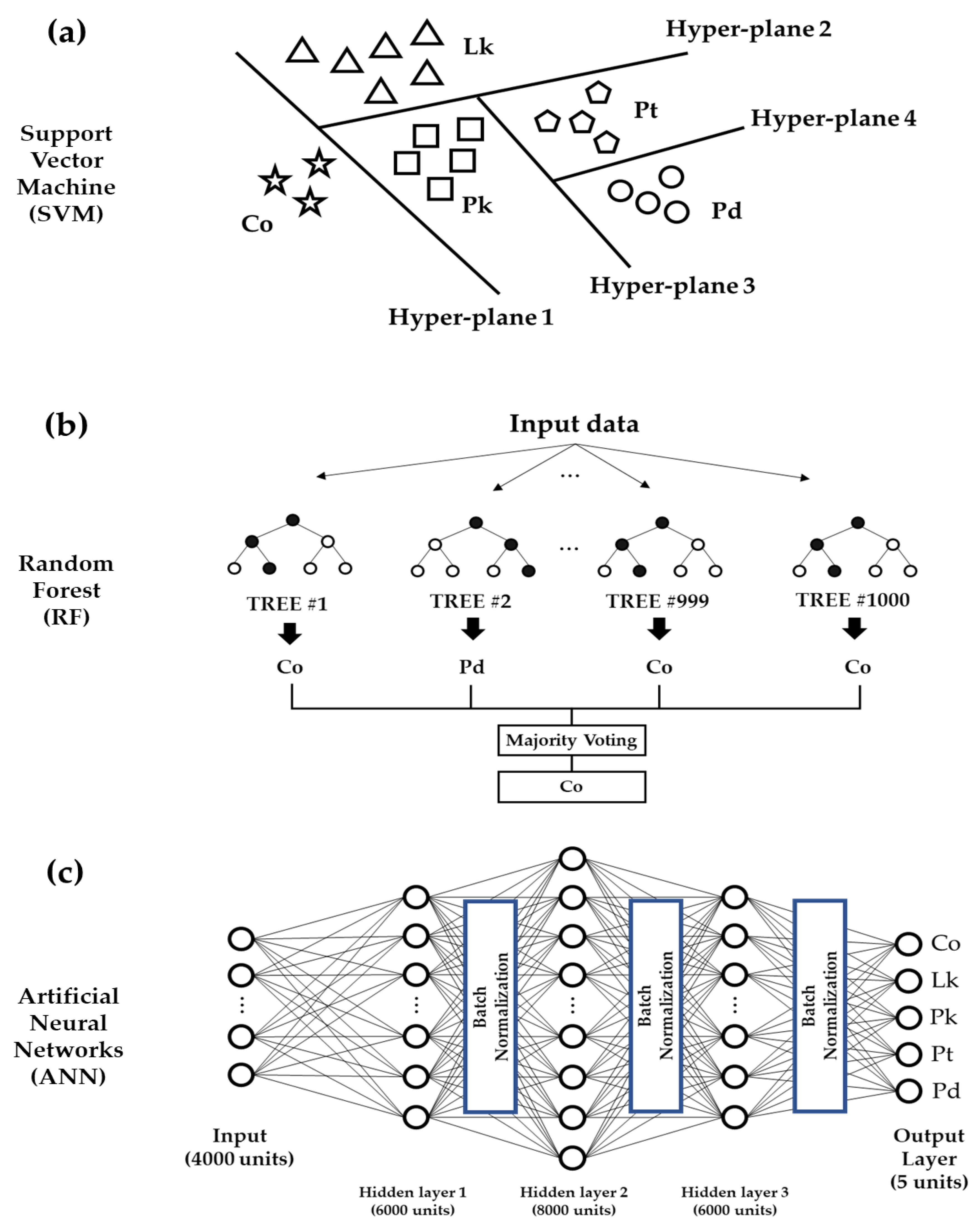 Forests 13 01688 g002