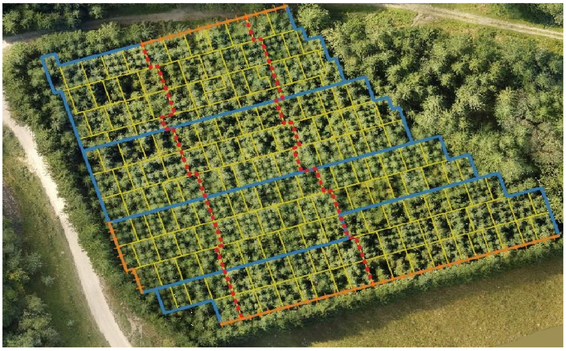 Forests 13 01691 g002