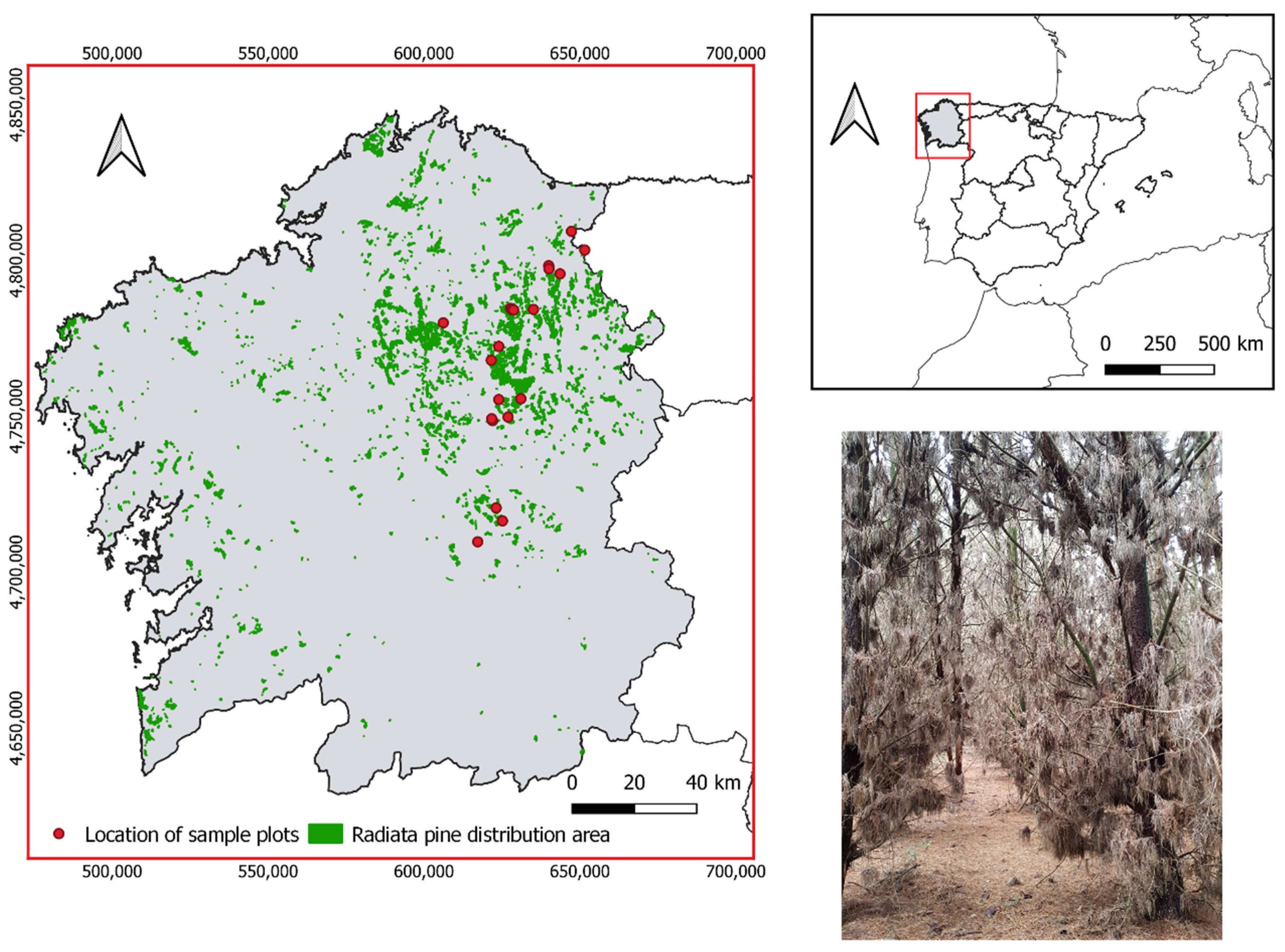 Forests 13 01697 g001