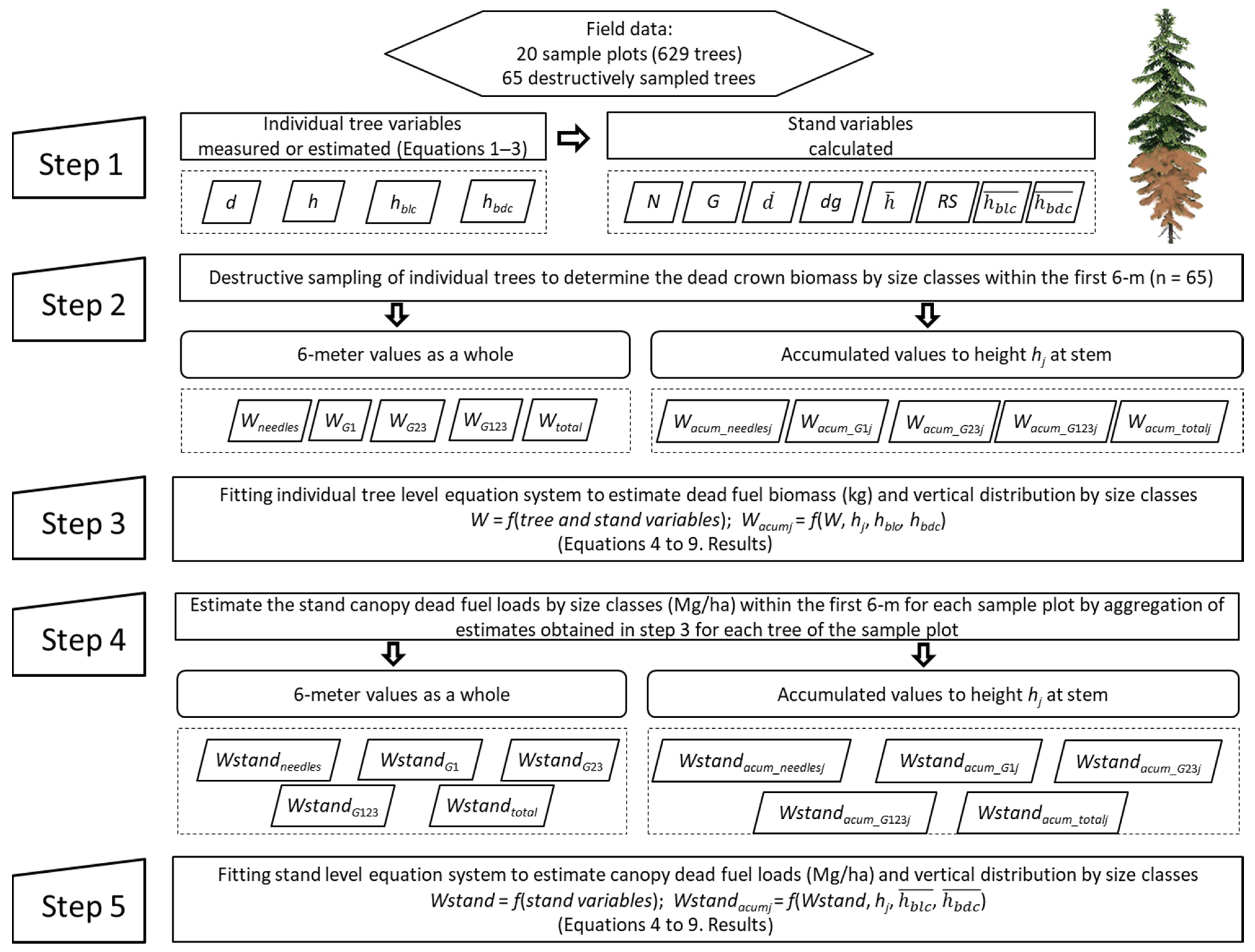 Forests 13 01697 g002