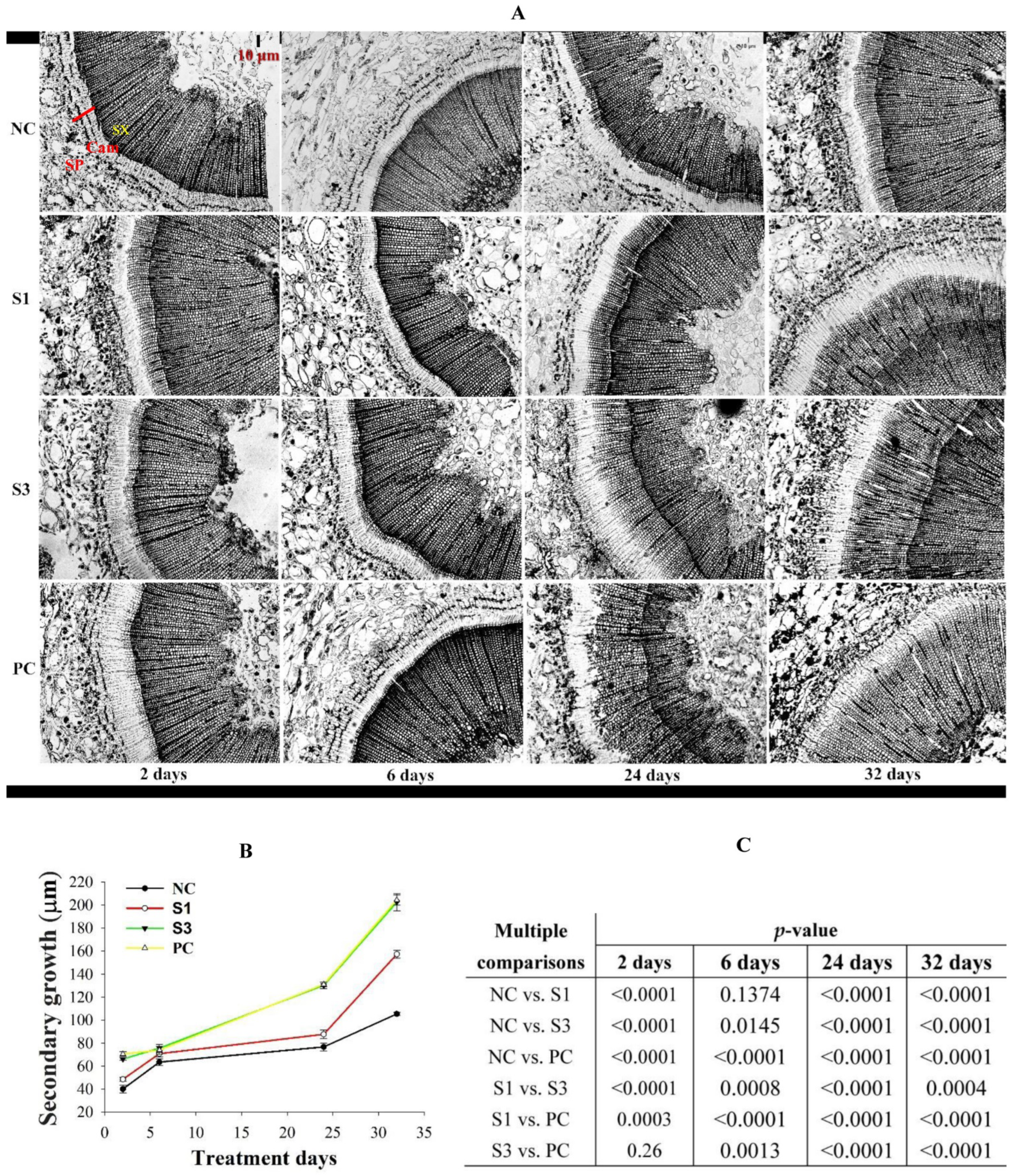Forests 13 01698 g002 Forests 13 01698 g002