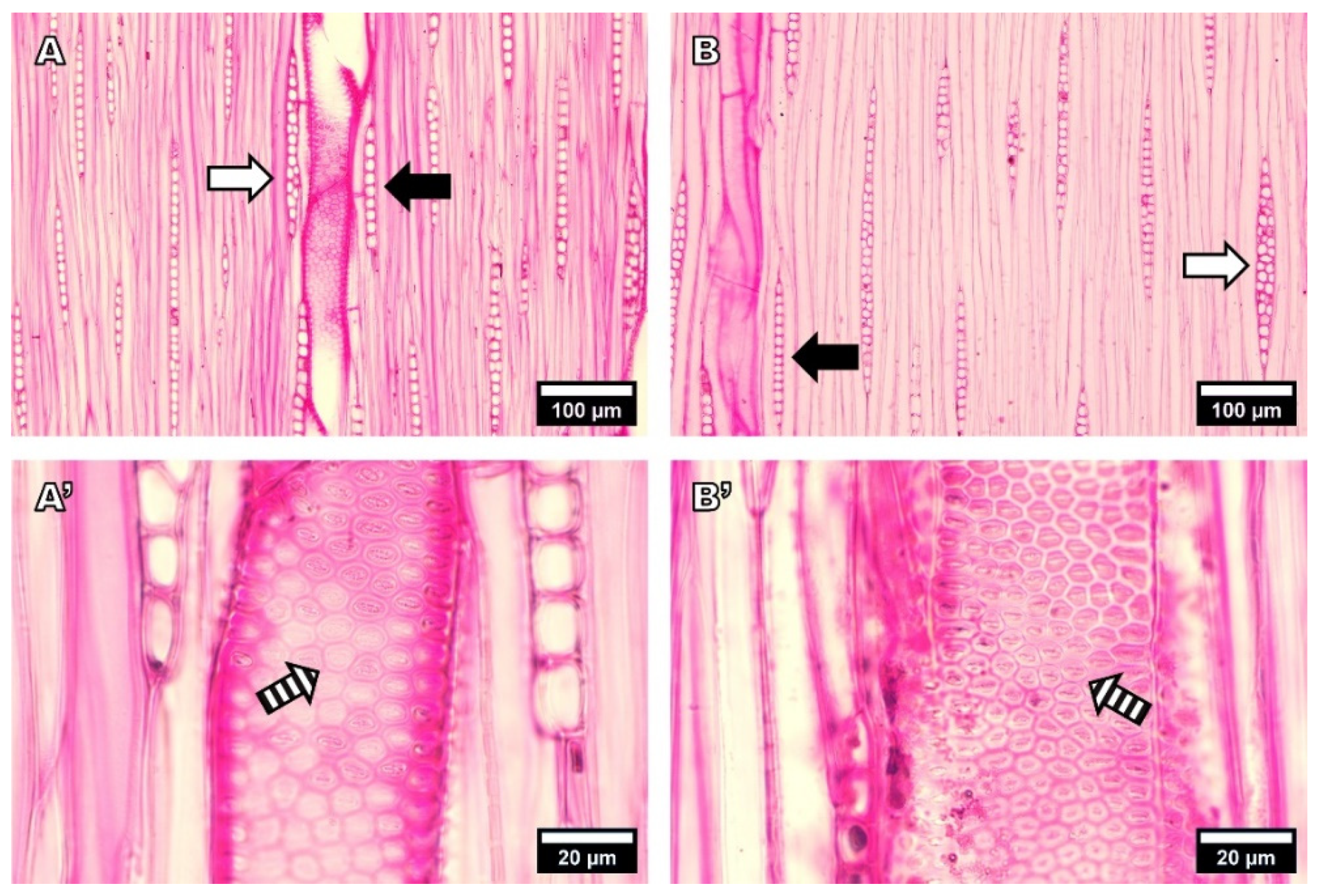 Forests 13 01700 g005 Forests 13 01700 g005