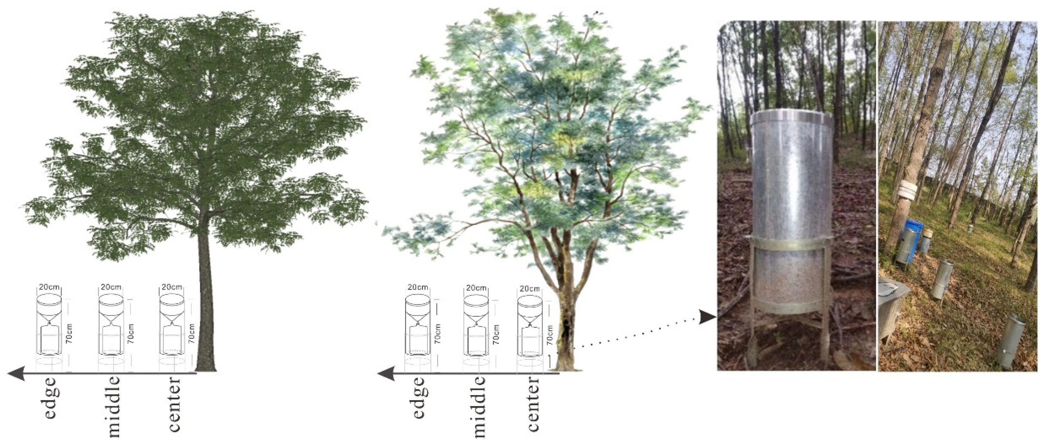 Forests 13 01707 g001 Forests 13 01707 g001