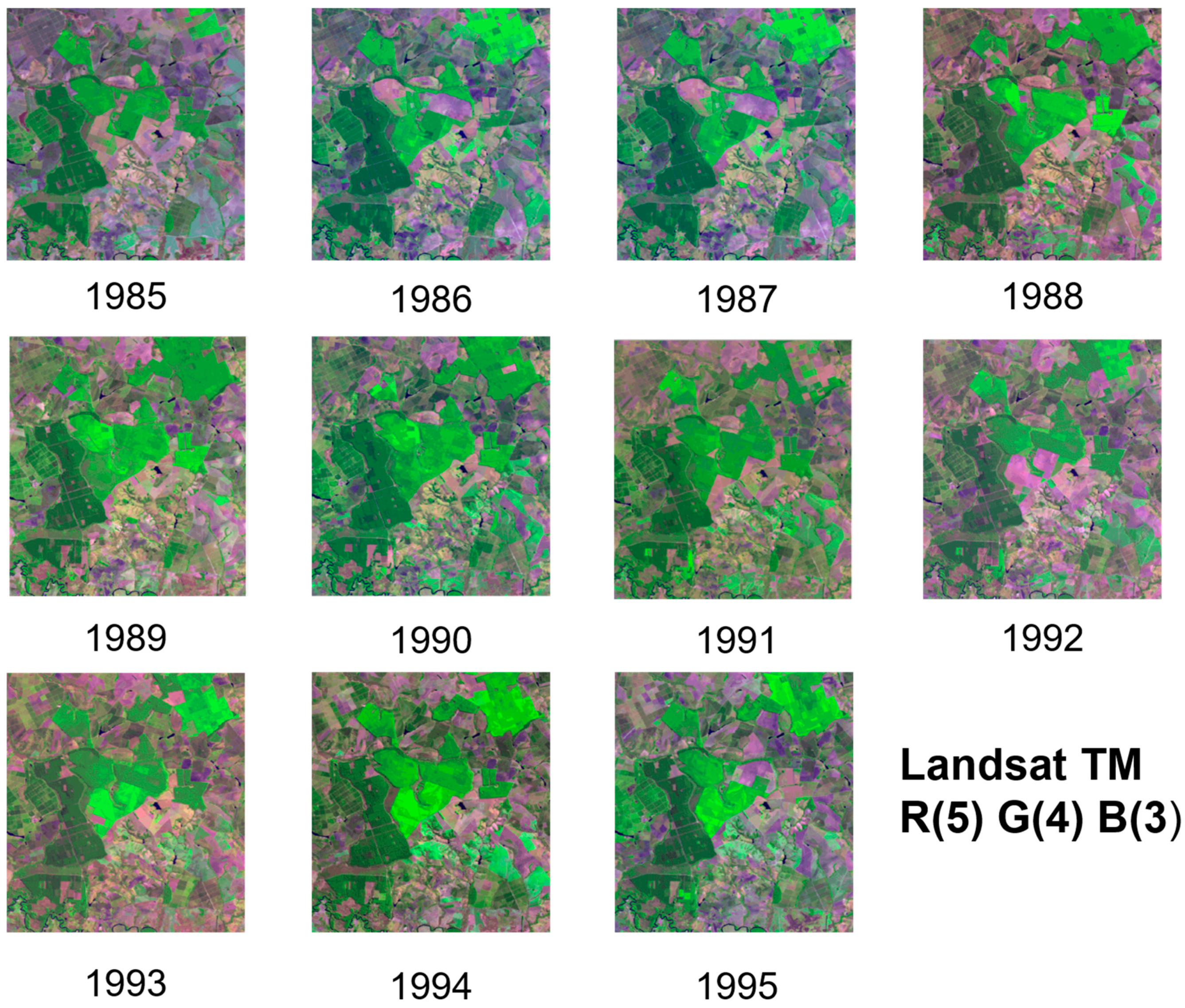 Forests 13 01716 g017 Forests 13 01716 g017