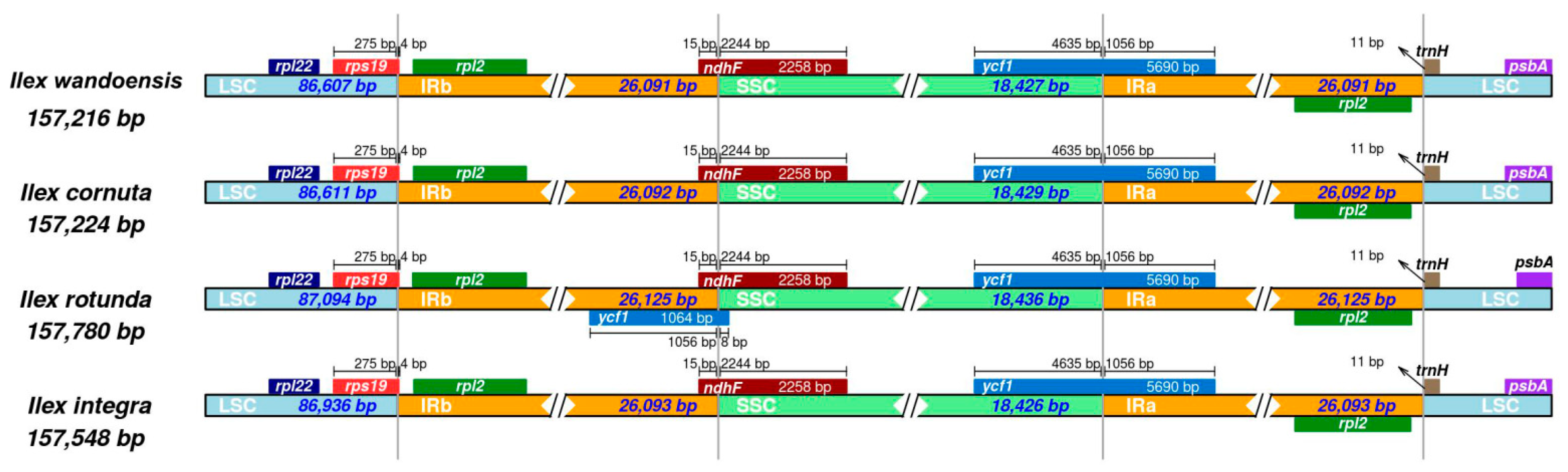 Forests 13 01718 g002