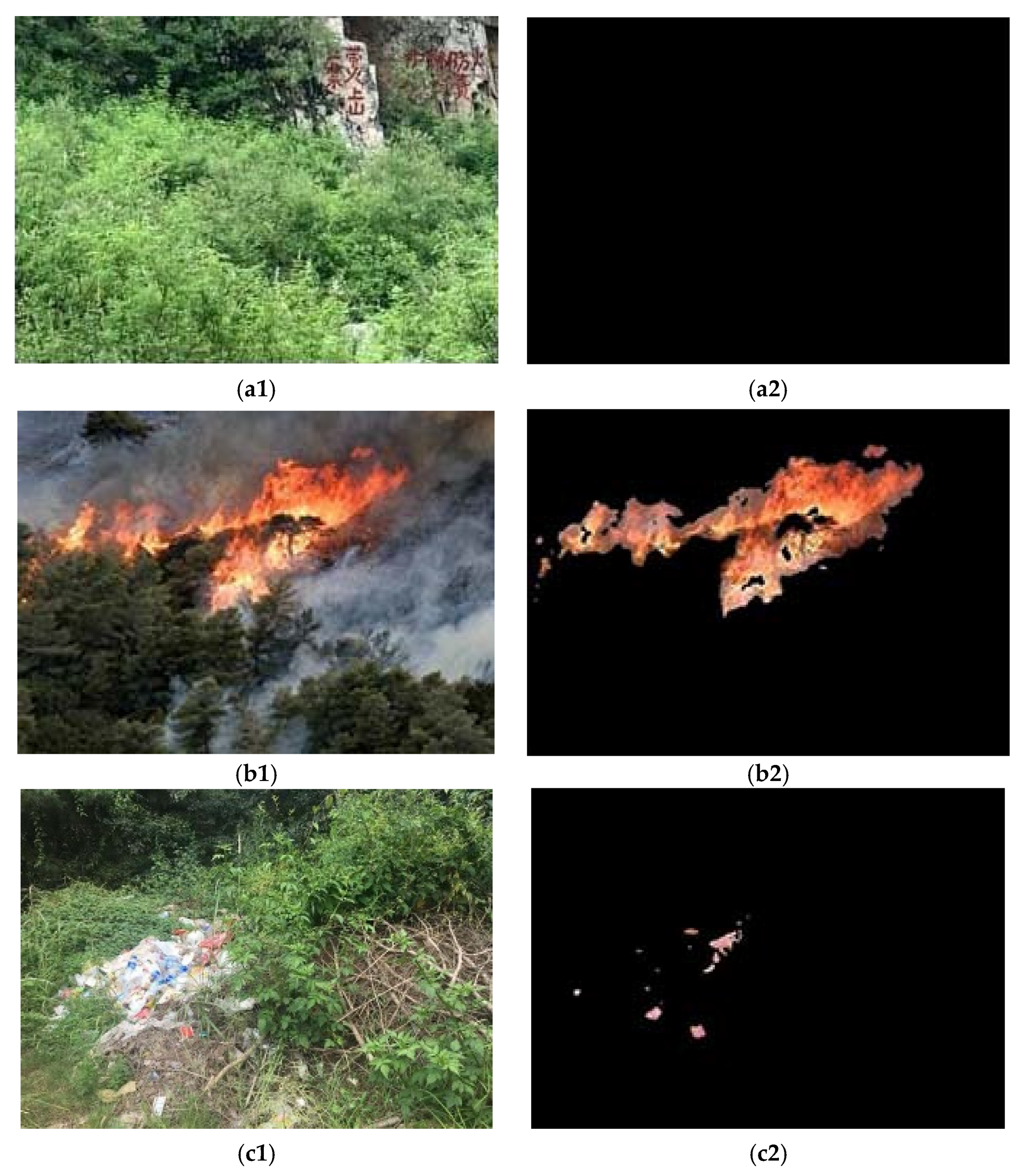 Forests 13 01719 g004 Forests 13 01719 g004