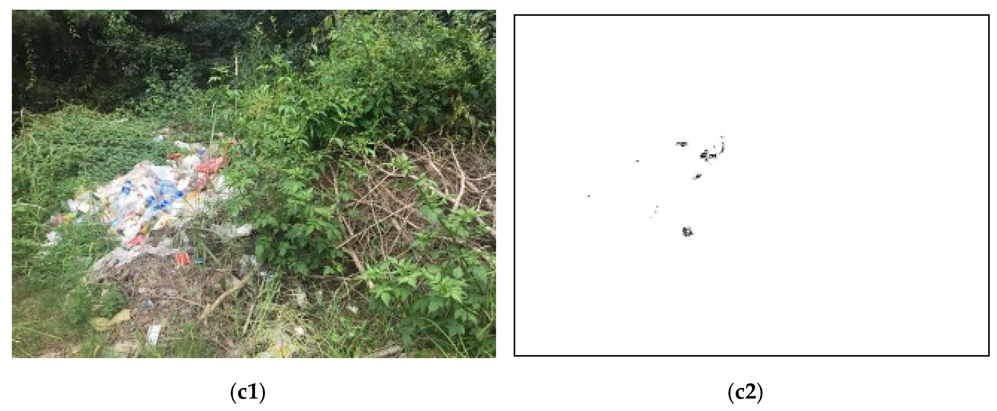 Forests 13 01719 g007b Forests 13 01719 g007b